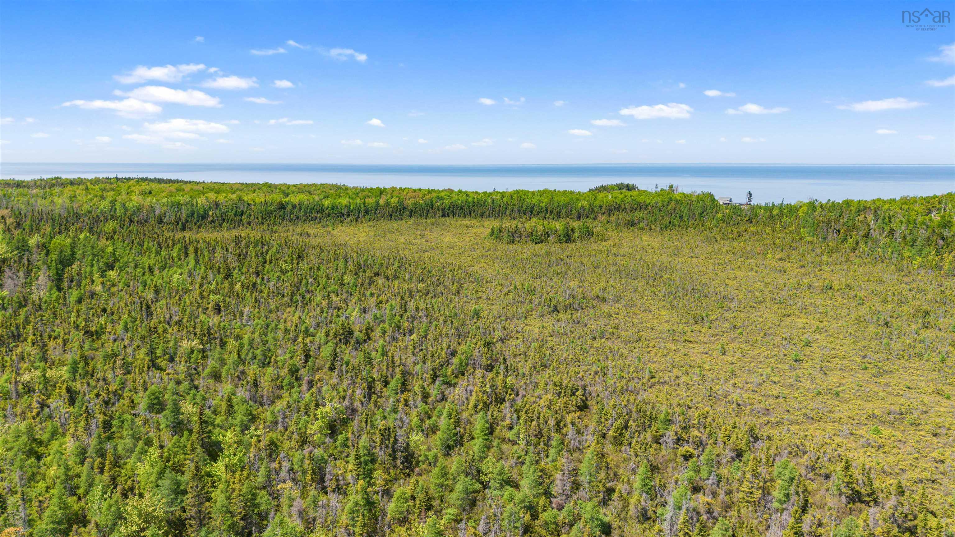 $289,900.00: Lot 62 Acres Caribou Island Rd, Caribou Island