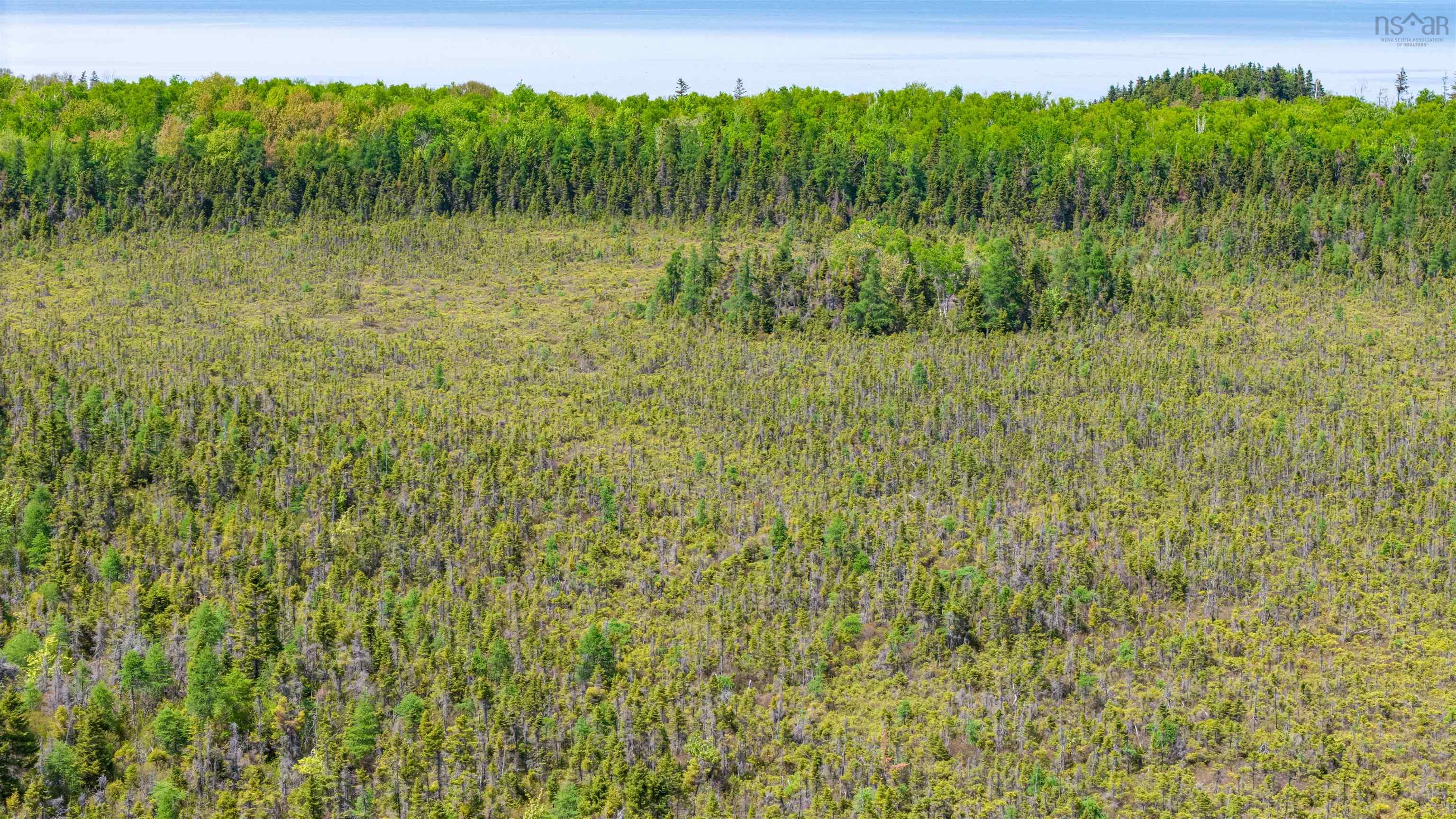 $289,900.00: Lot 62 Acres Caribou Island Rd, Caribou Island