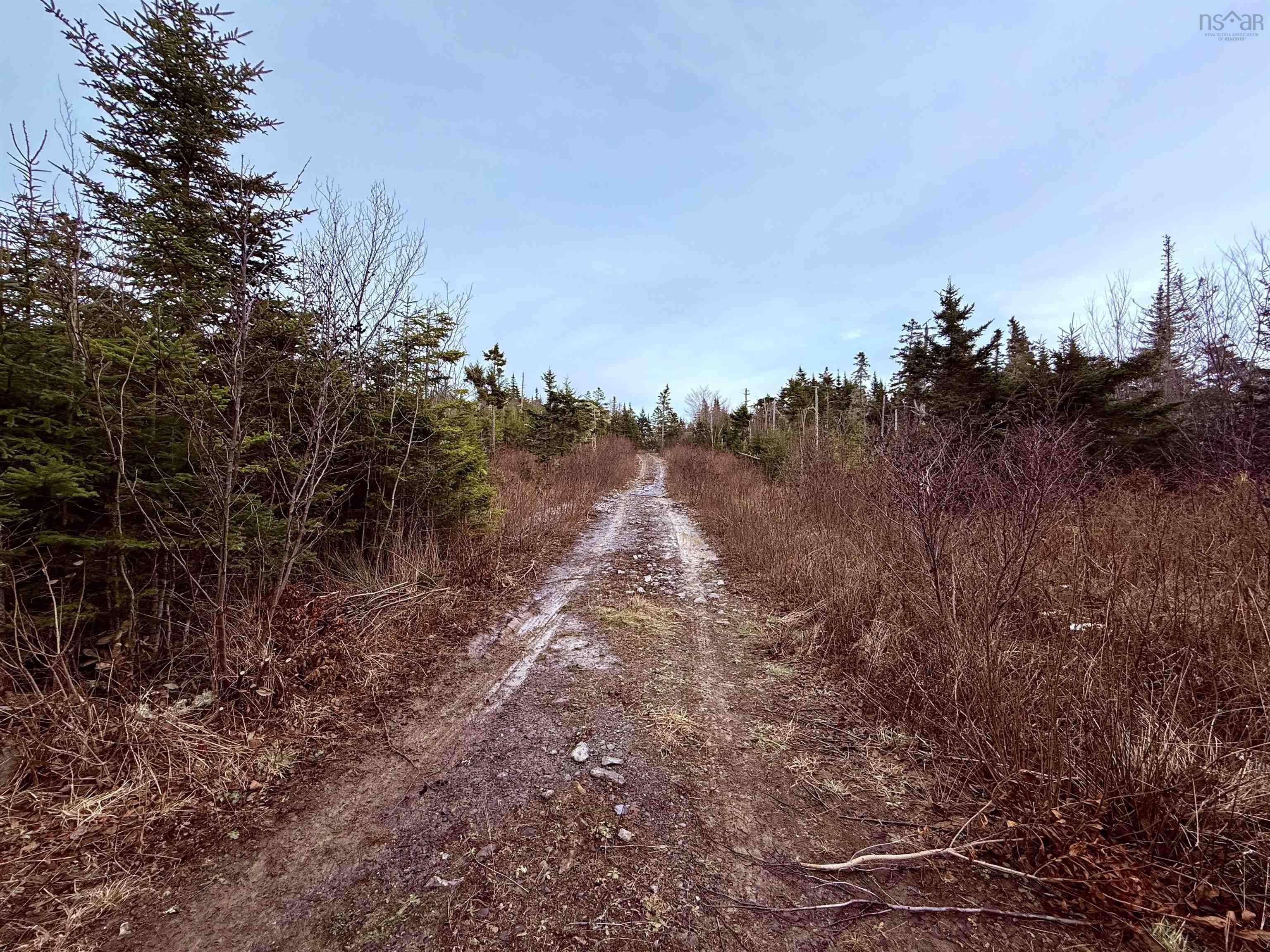 $180,000.00: Lot (PID 90037540) Highway 308, Morris Island