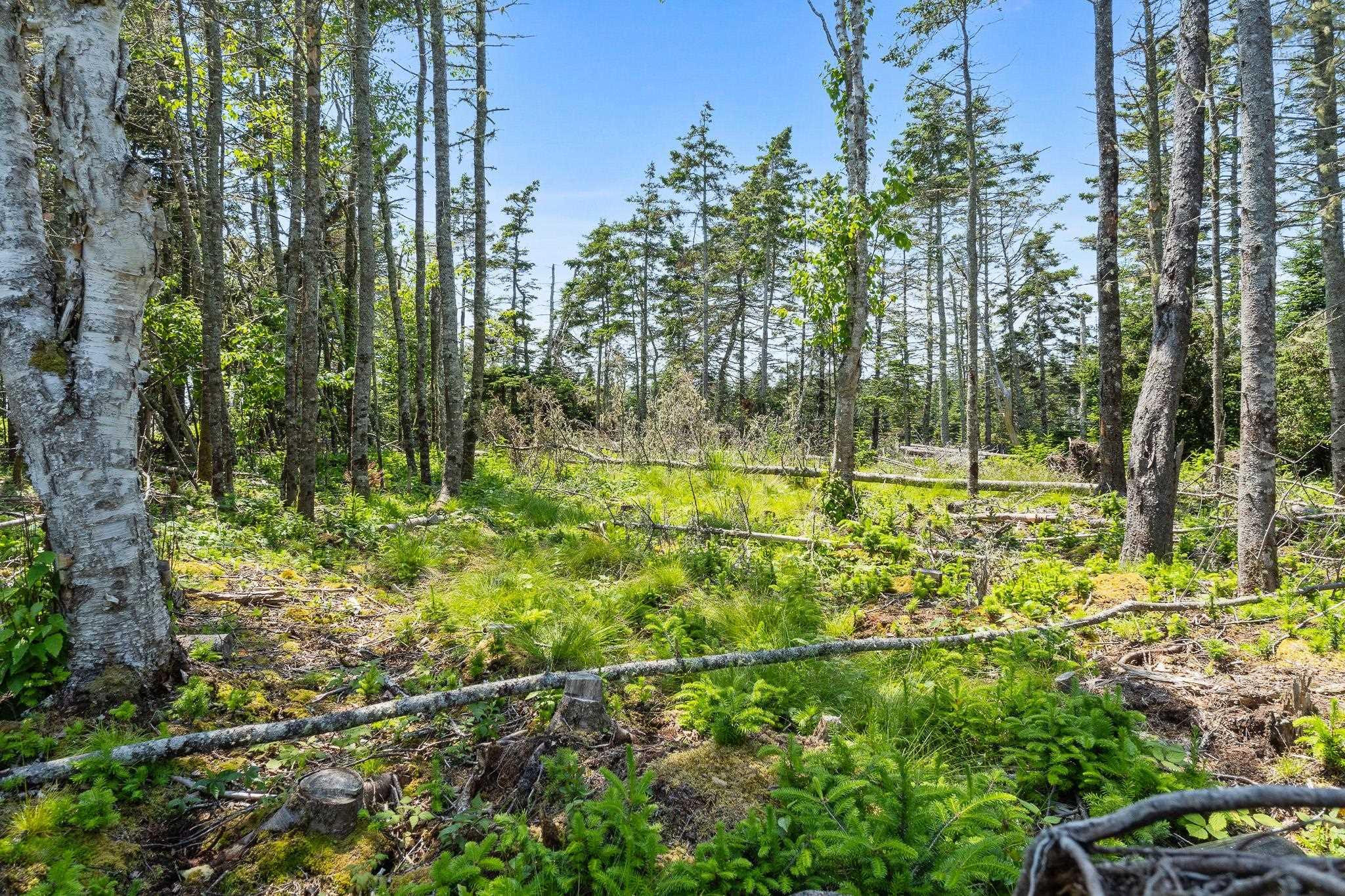 Lot Highway 207, Seaforth, NS (MLS 202601270)
