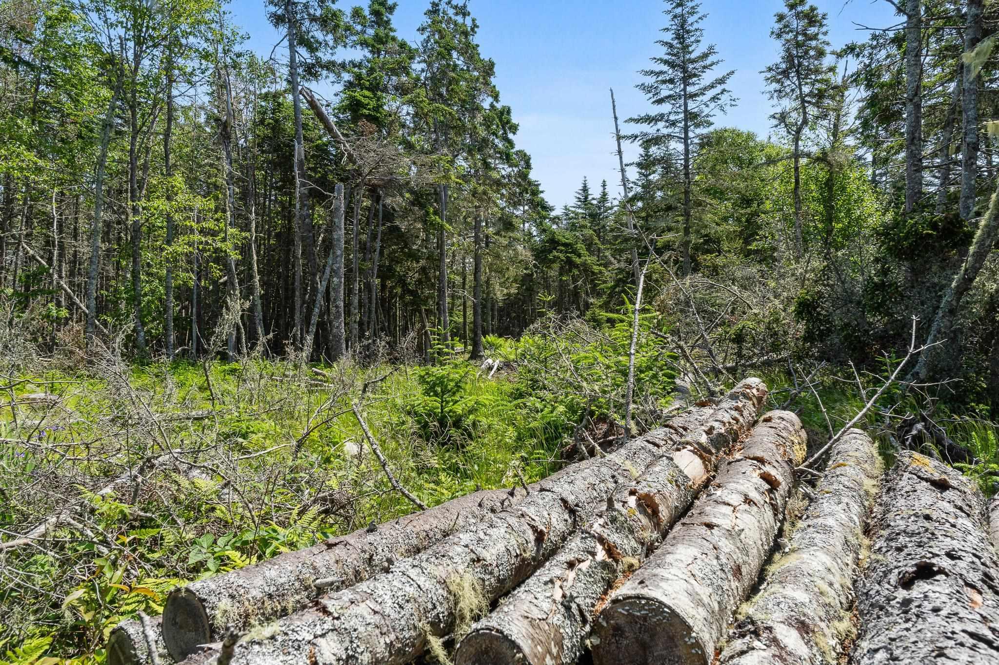 Lot Highway 207, Seaforth, NS (MLS 202601270)
