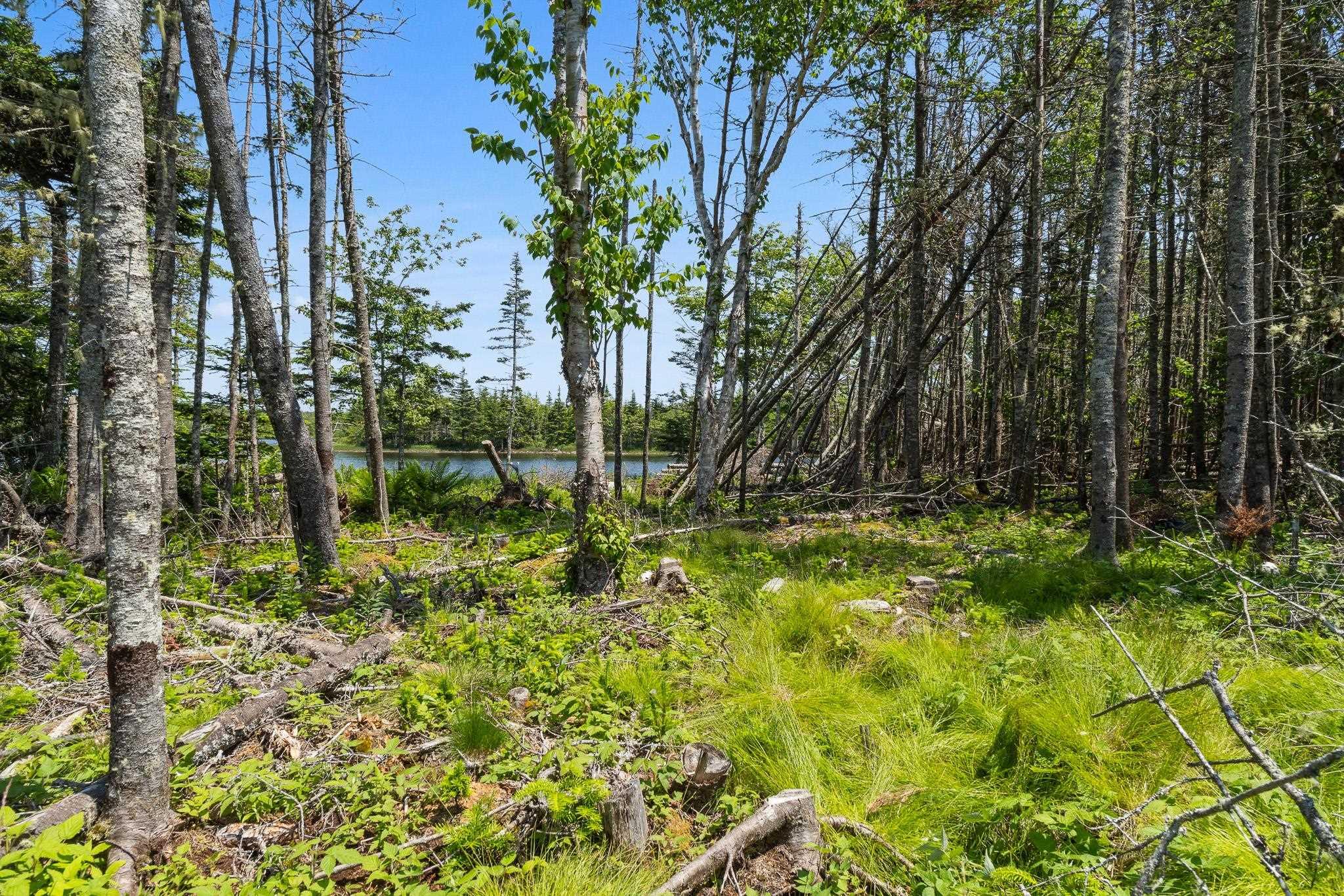 Lot Highway 207, Seaforth, NS (MLS 202601270)