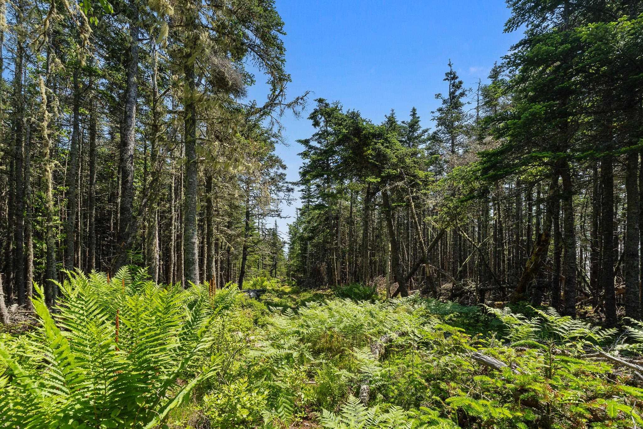 Lot Highway 207, Seaforth, NS (MLS 202601270)