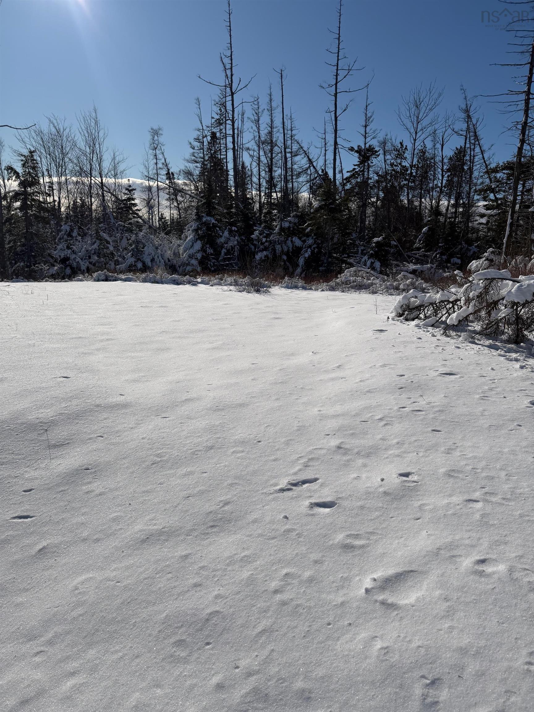 $56,900.00: 32 Birch Hill Lane, Caribou River