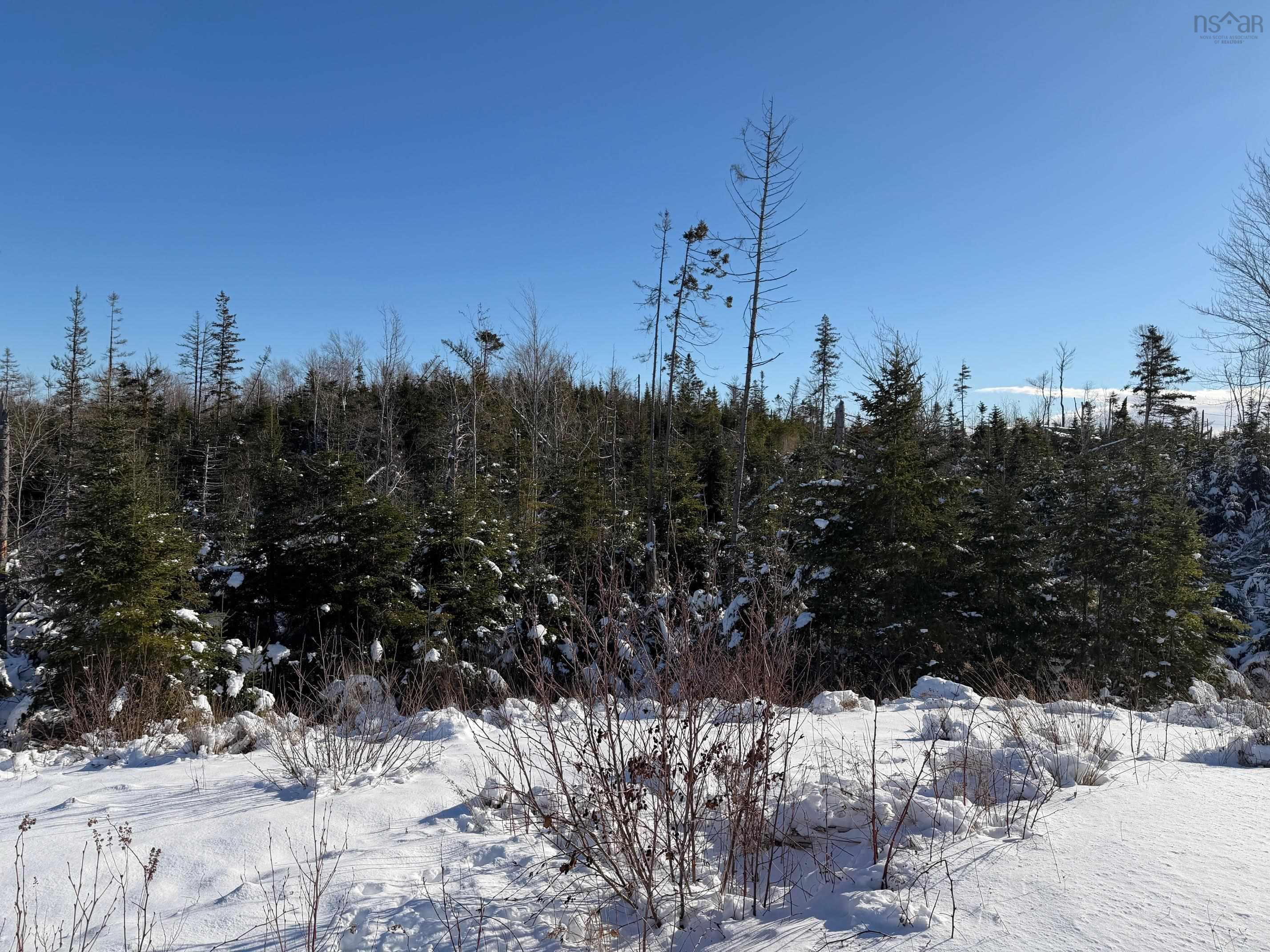 $56,900.00: 32 Birch Hill Lane, Caribou River