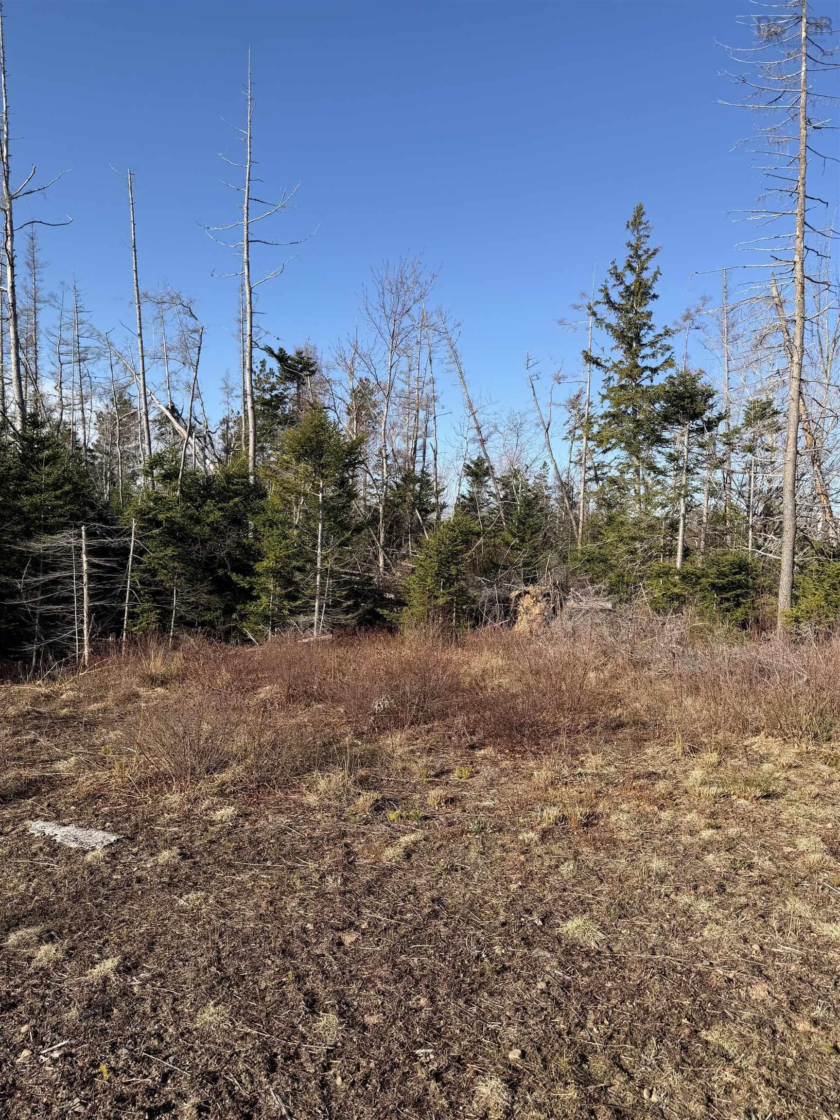 $56,900.00: 32 Birch Hill Lane, Caribou River