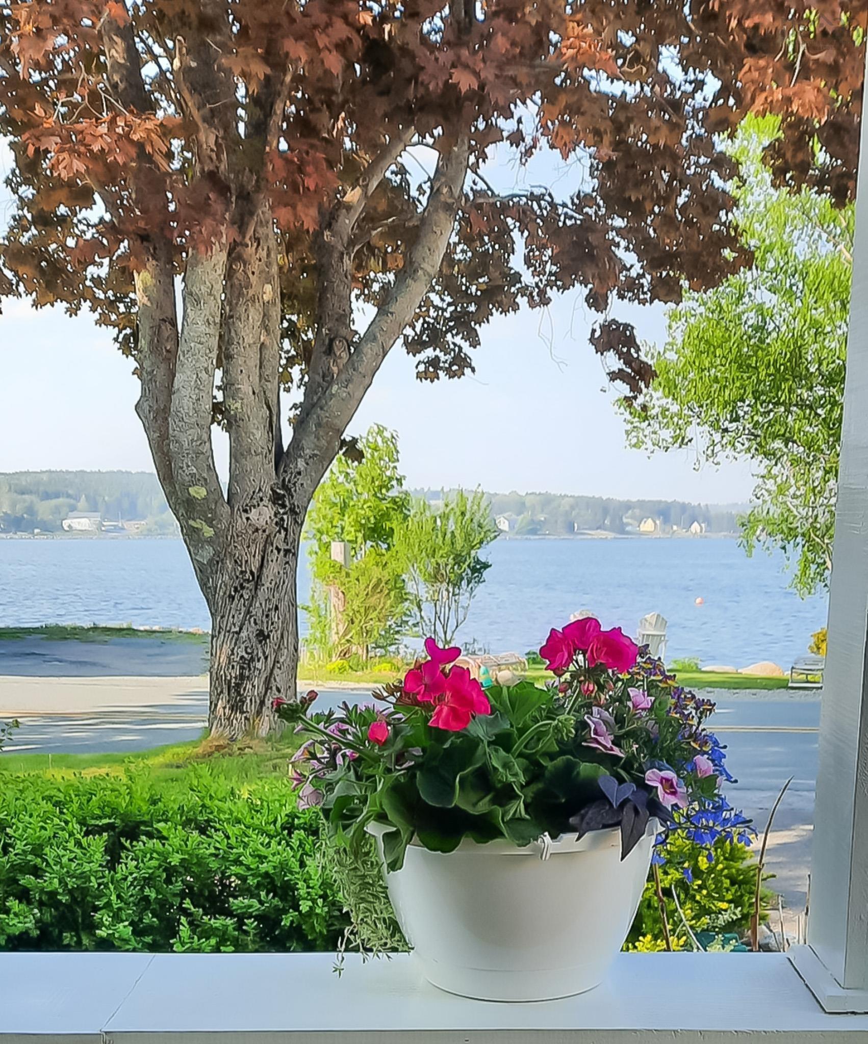 $595,000.00: 3380 Highway 331, Lahave