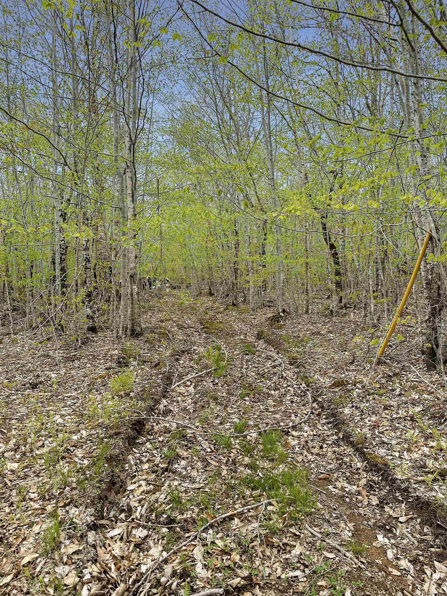 $39,900.00: 14-C HILLCREST Drive, Dalhousie