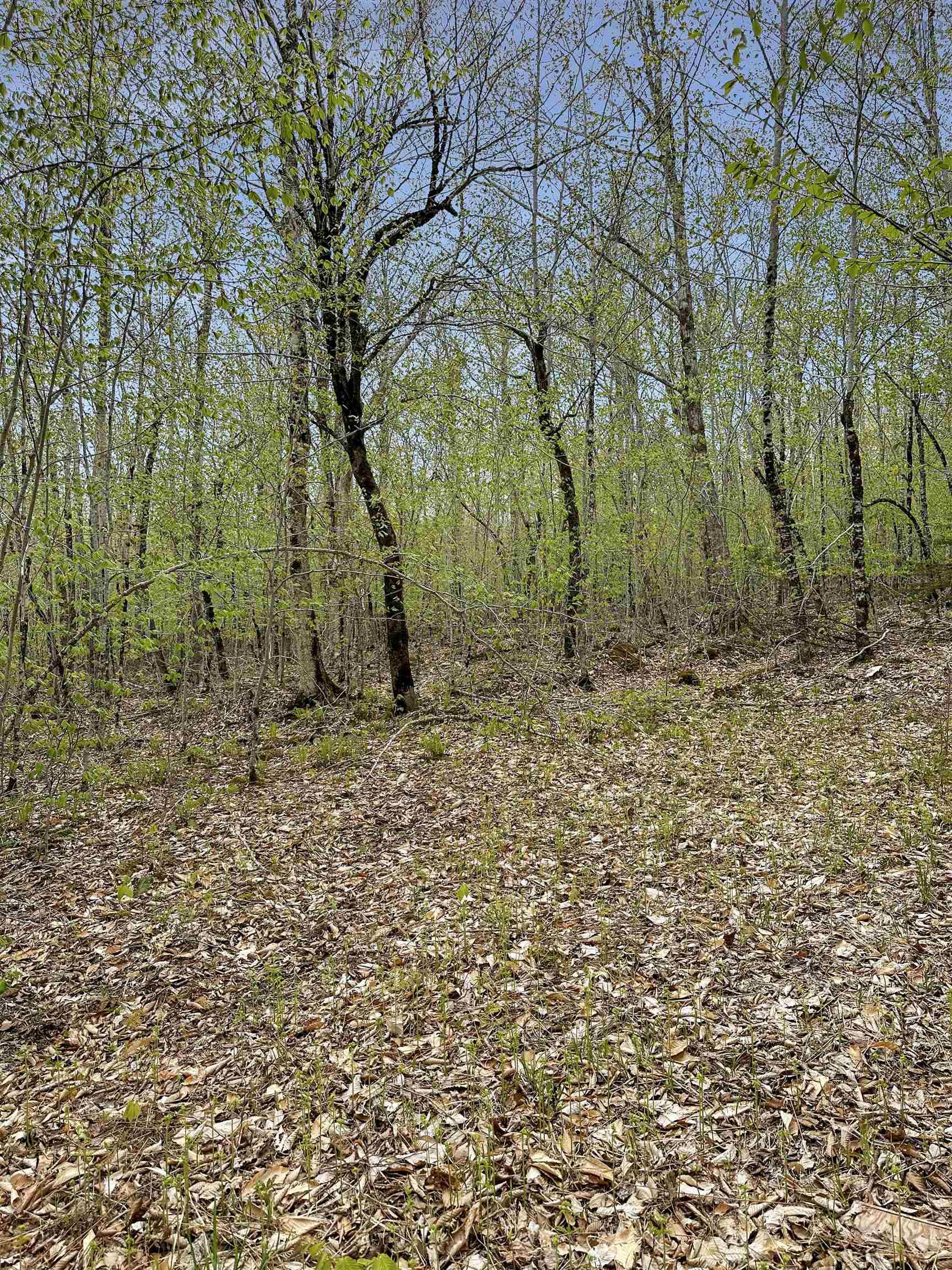 $39,900.00: 14-C HILLCREST Drive, Dalhousie