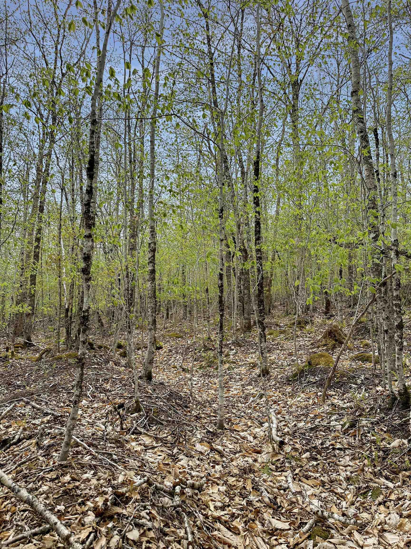 $39,900.00: 14-C HILLCREST Drive, Dalhousie