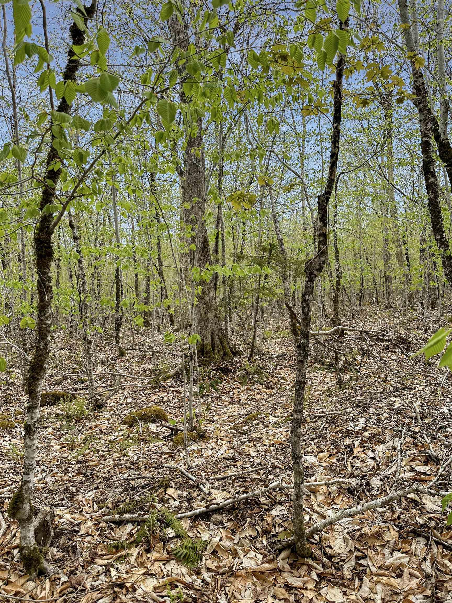 $39,900.00: 14-C HILLCREST Drive, Dalhousie