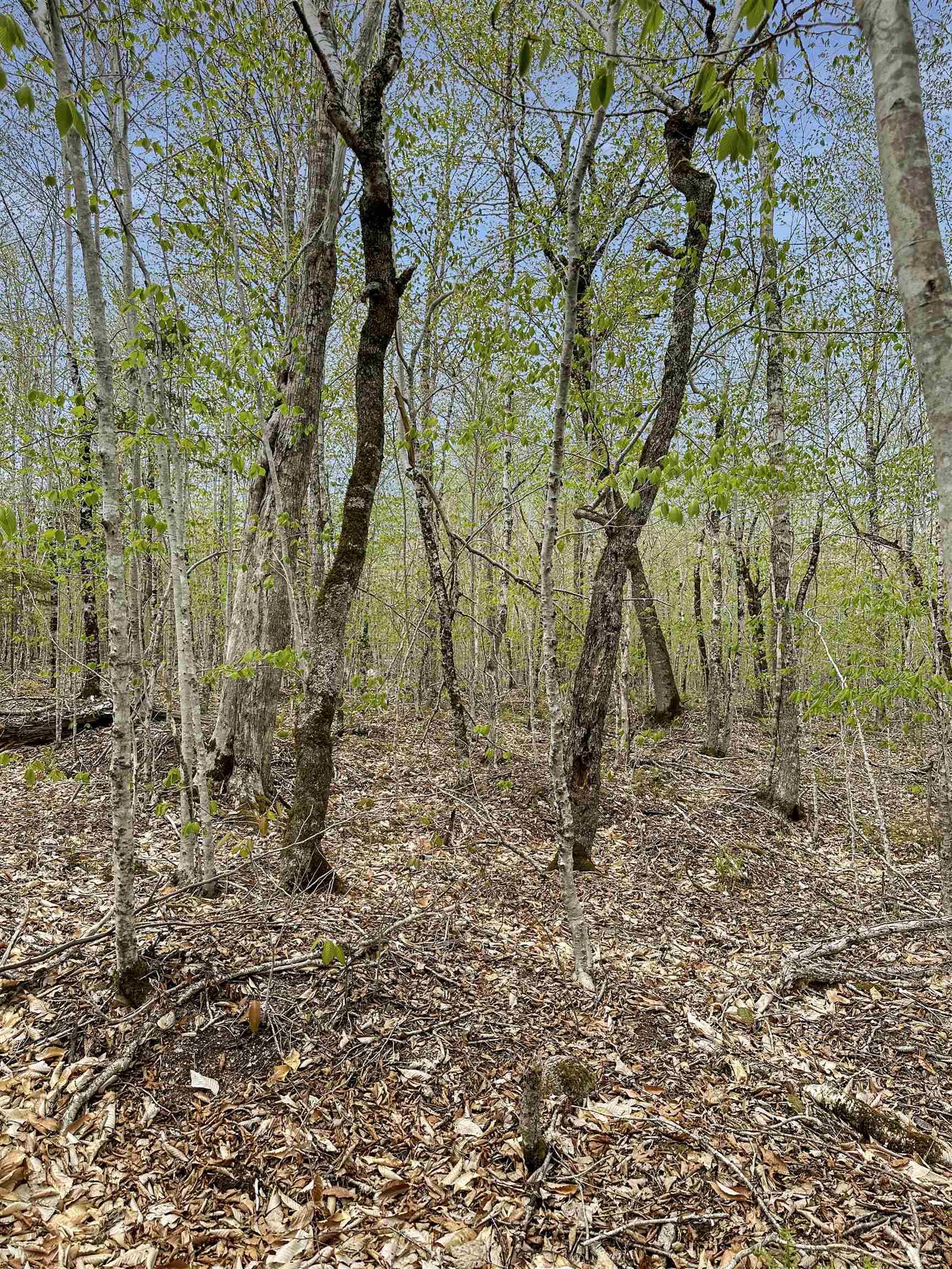 $39,900.00: 14-C HILLCREST Drive, Dalhousie