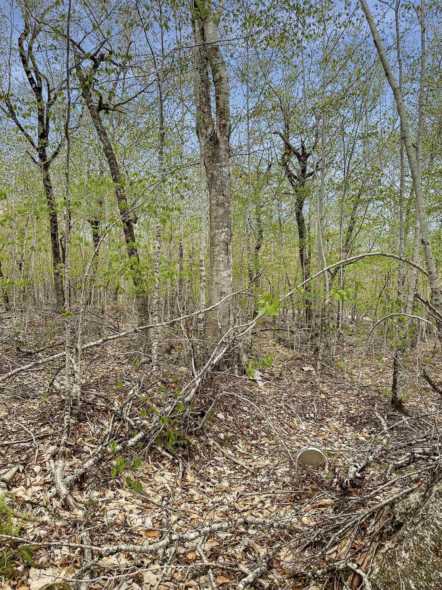 $39,900.00: 14-C HILLCREST Drive, Dalhousie