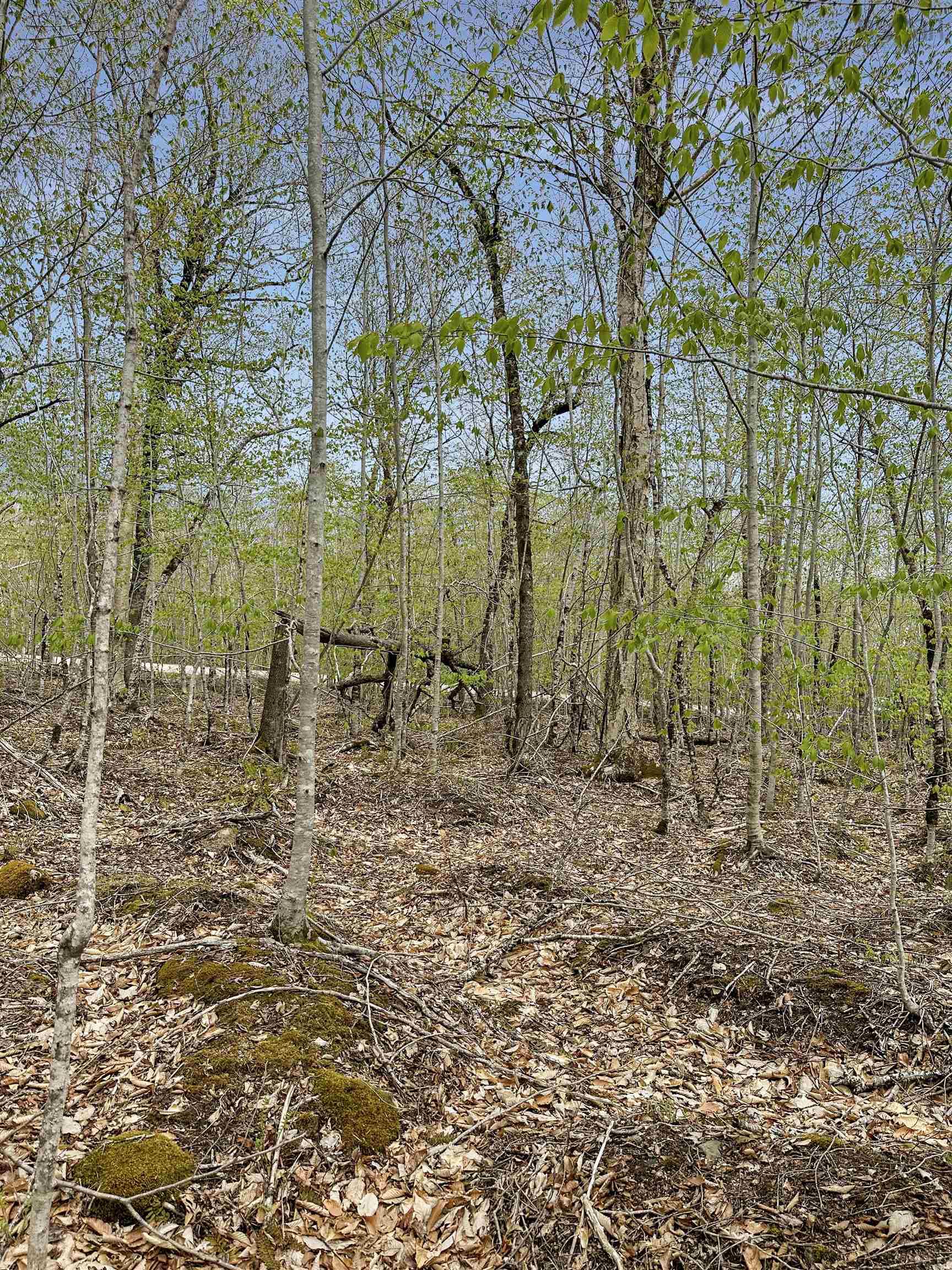 $39,900.00: 14-C HILLCREST Drive, Dalhousie