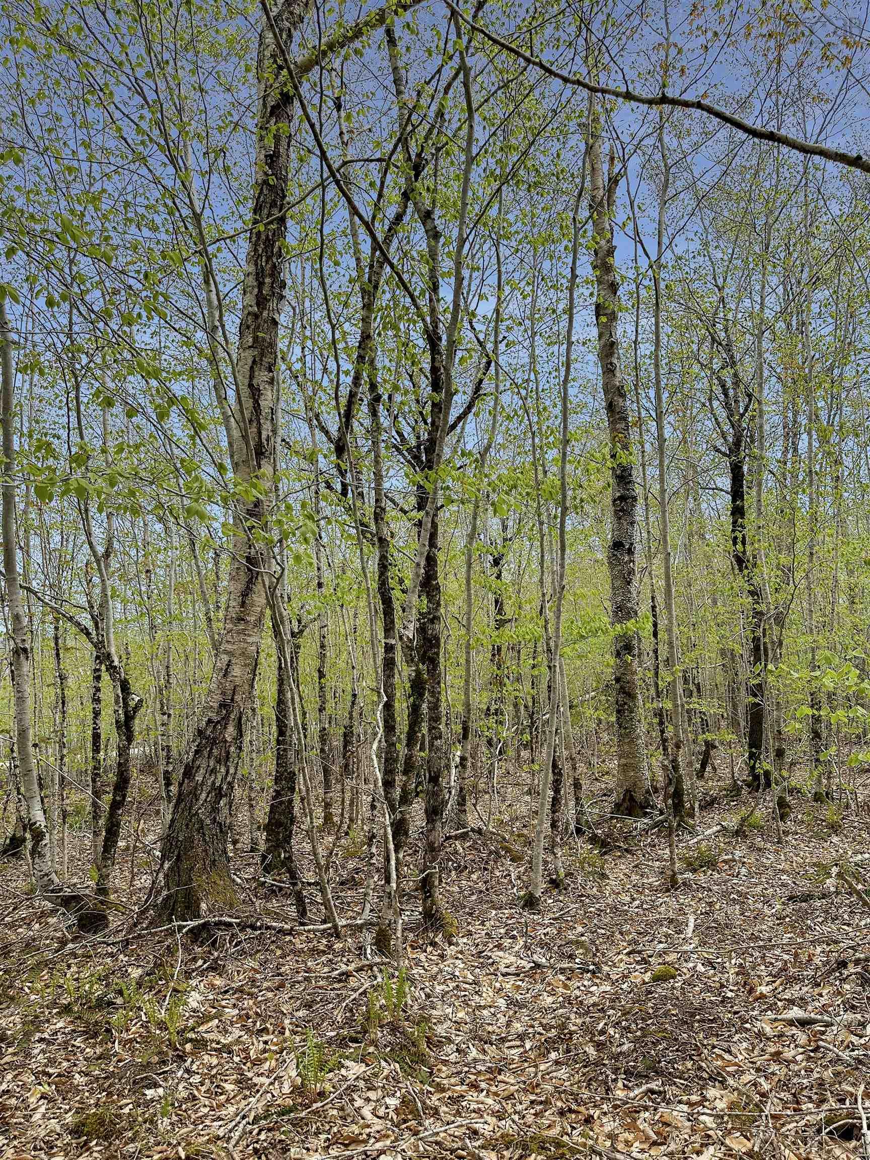 $39,900.00: 14-C HILLCREST Drive, Dalhousie