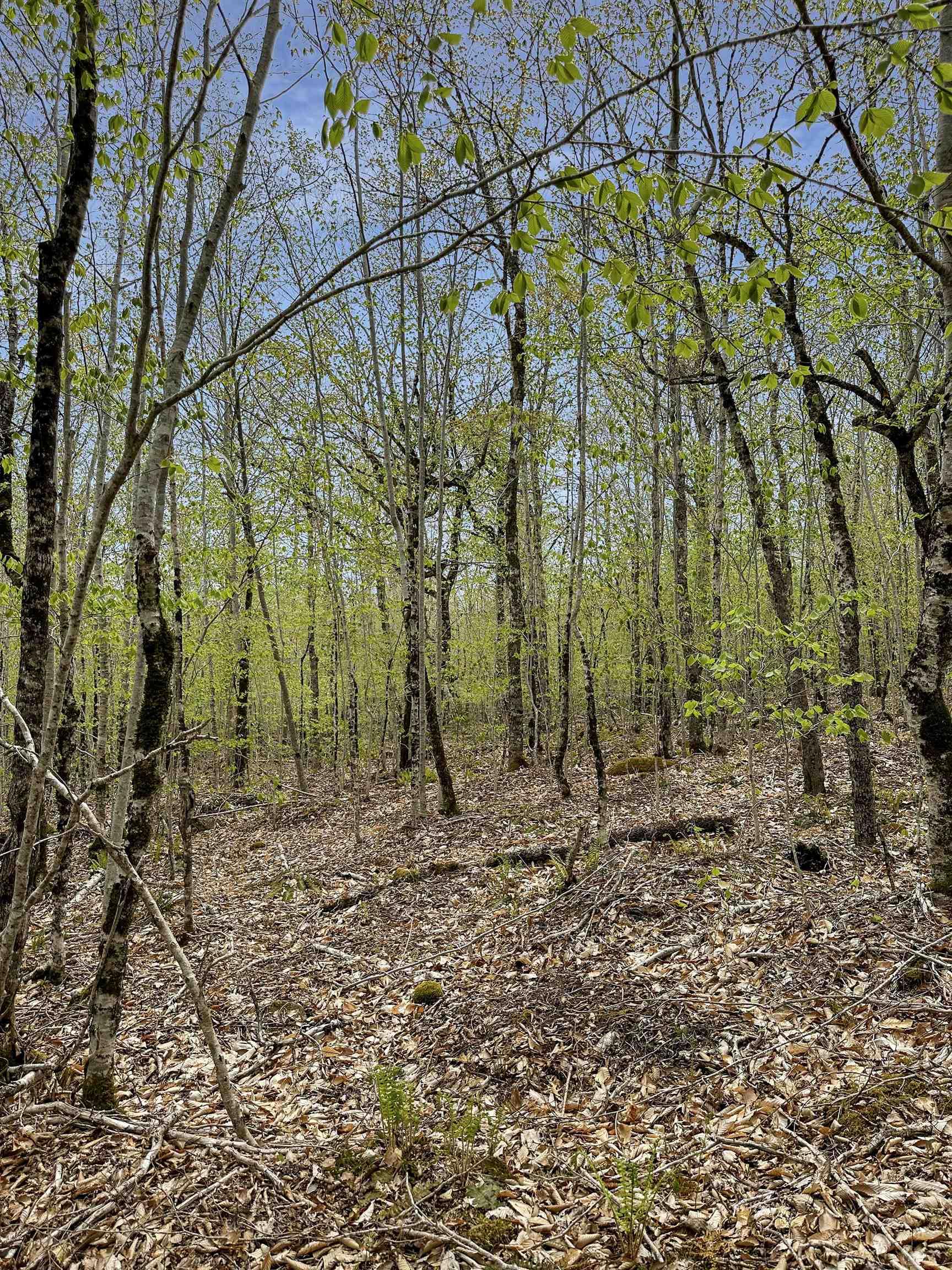 $39,900.00: 14-C HILLCREST Drive, Dalhousie