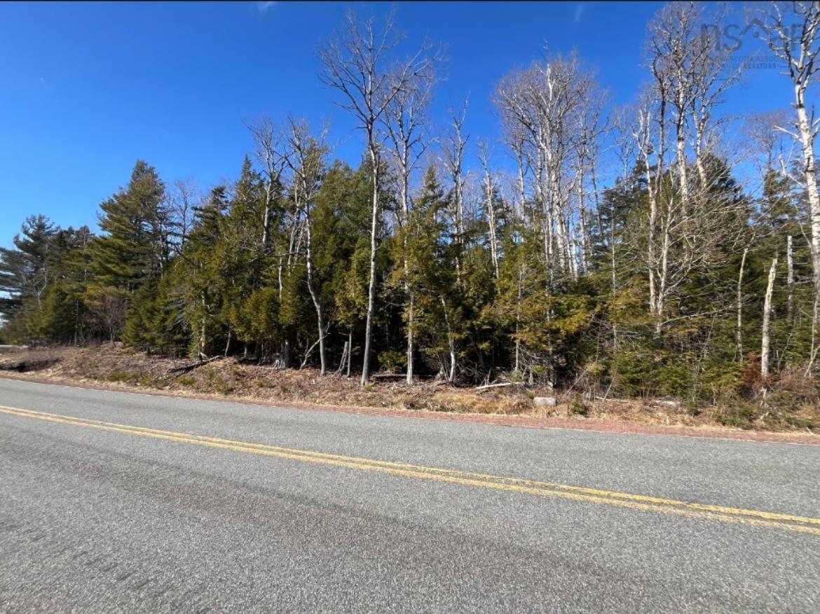 $60,900.00: 18 Acres Highway 256, West Branch