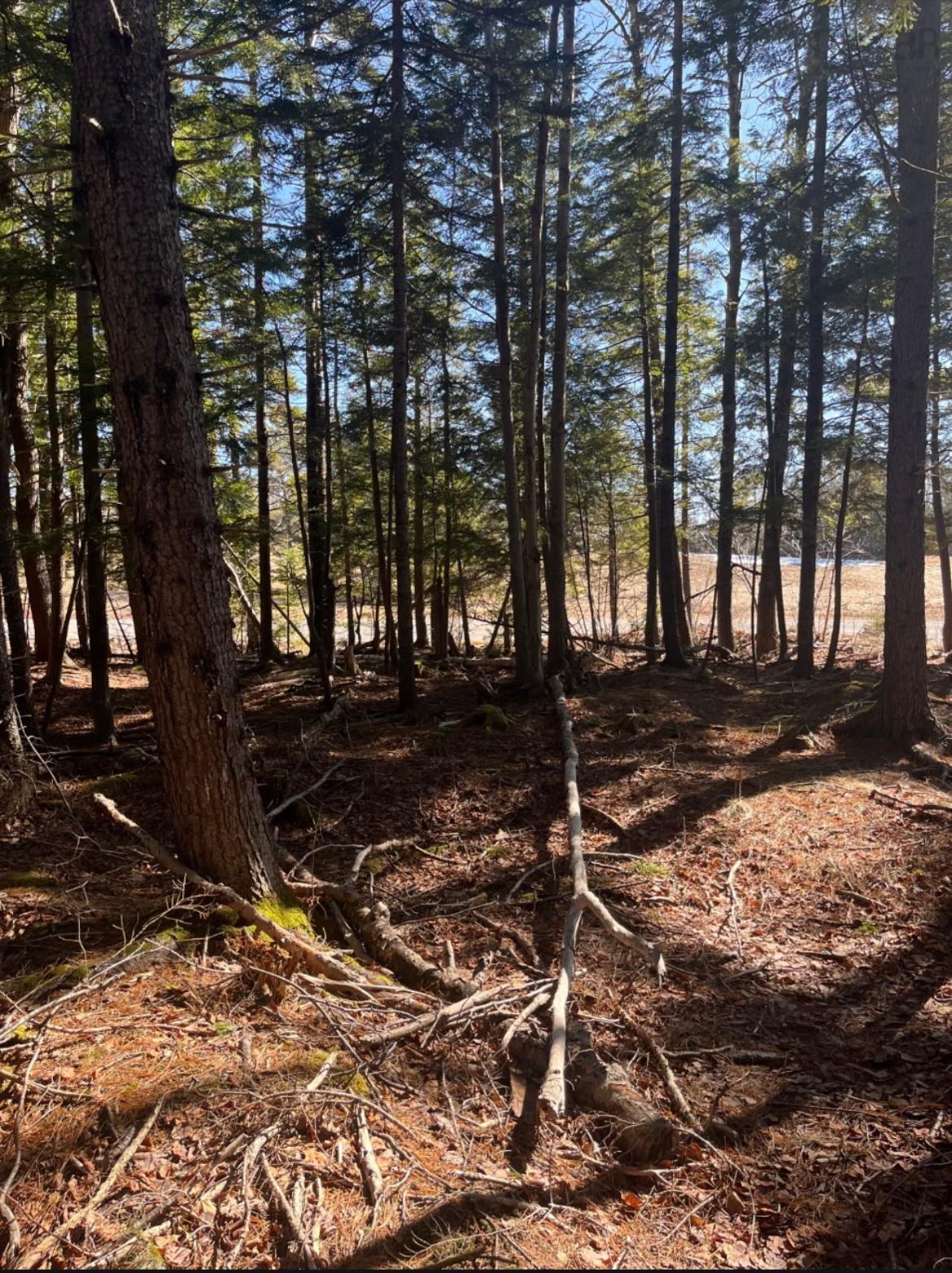 $60,900.00: 18 Acres Highway 256, West Branch