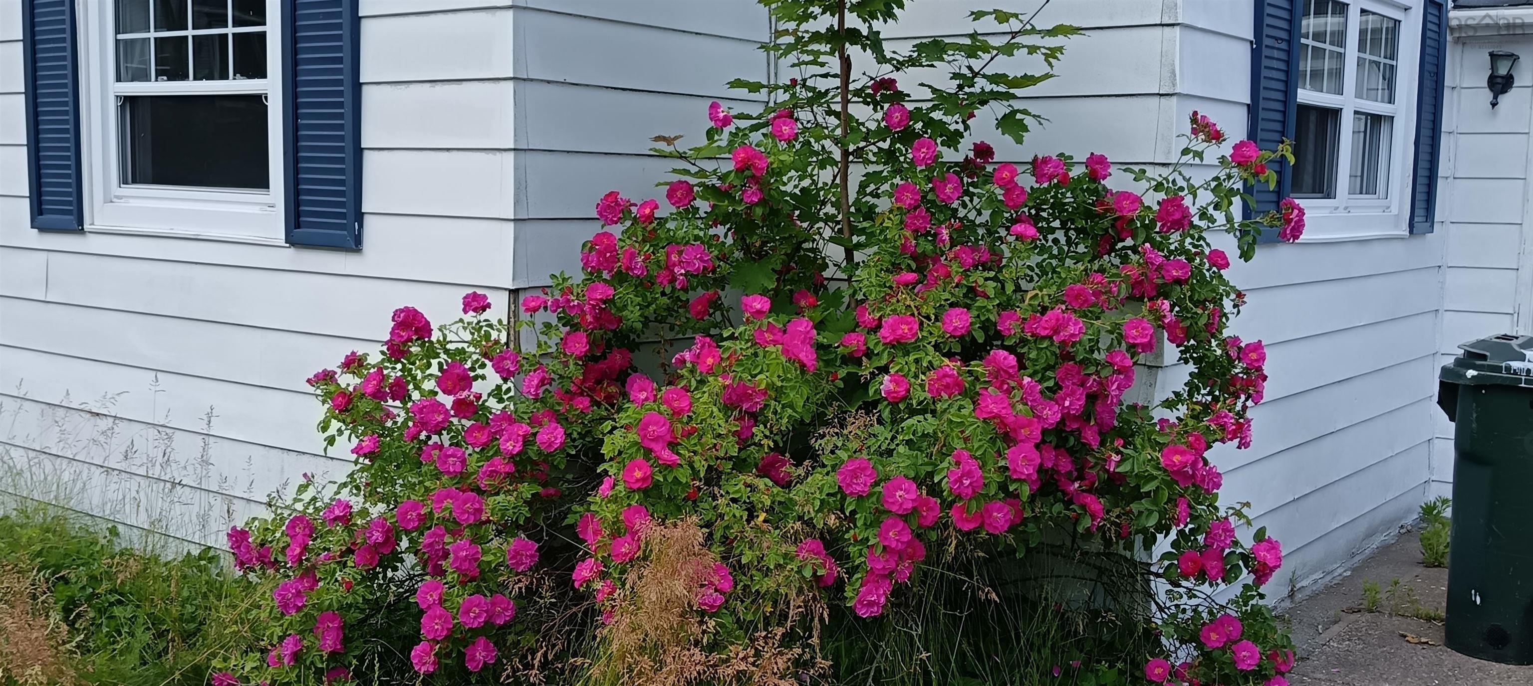 $193,900.00: 61 Leonard Street, Sydney