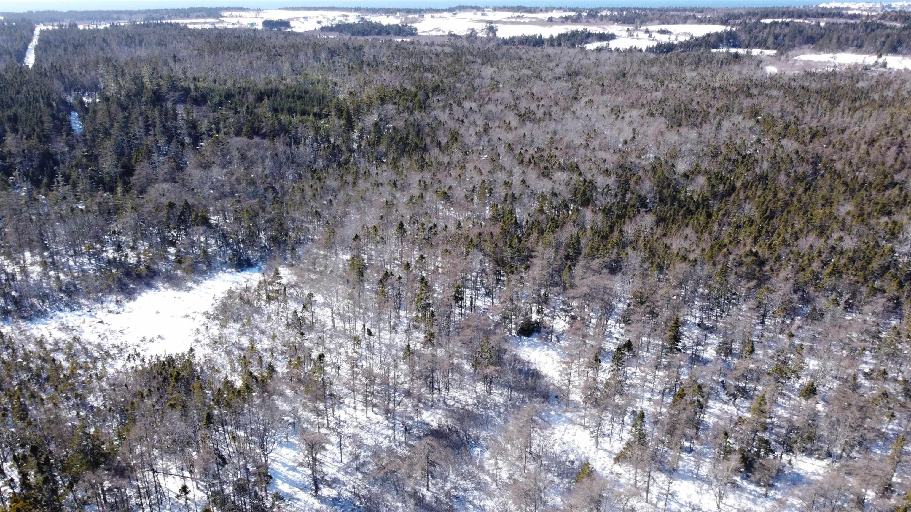 $14,000.00: B LOT Davis Cove Road, Salmon River