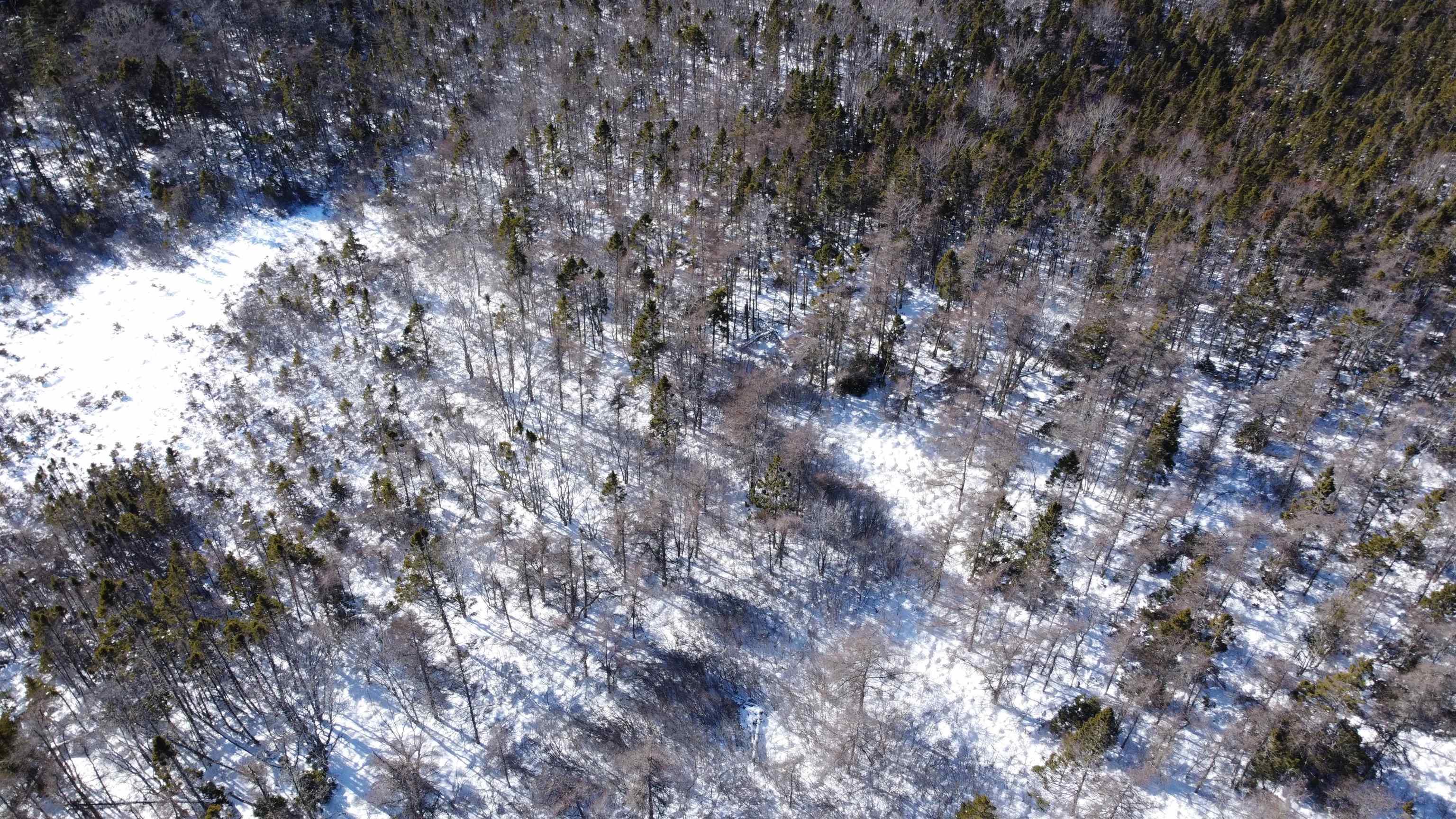 $14,000.00: B LOT Davis Cove Road, Salmon River