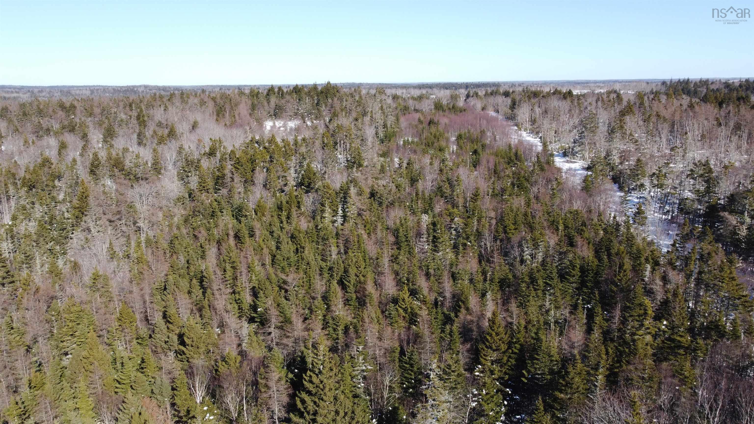 $17,000.00: A Davis Cove Road, Salmon River