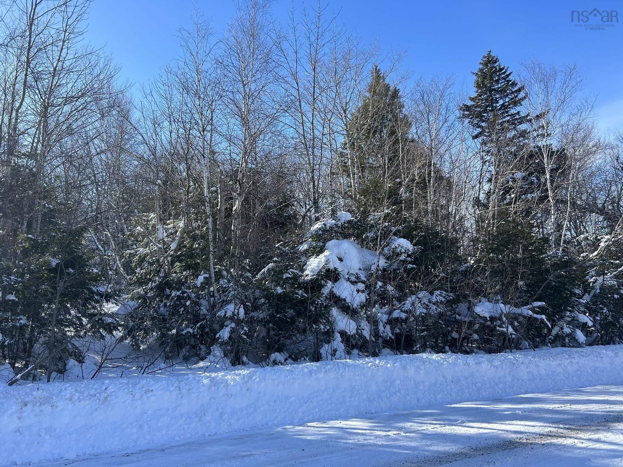 Truro Road, East New Annan, NS (MLS 202601509)