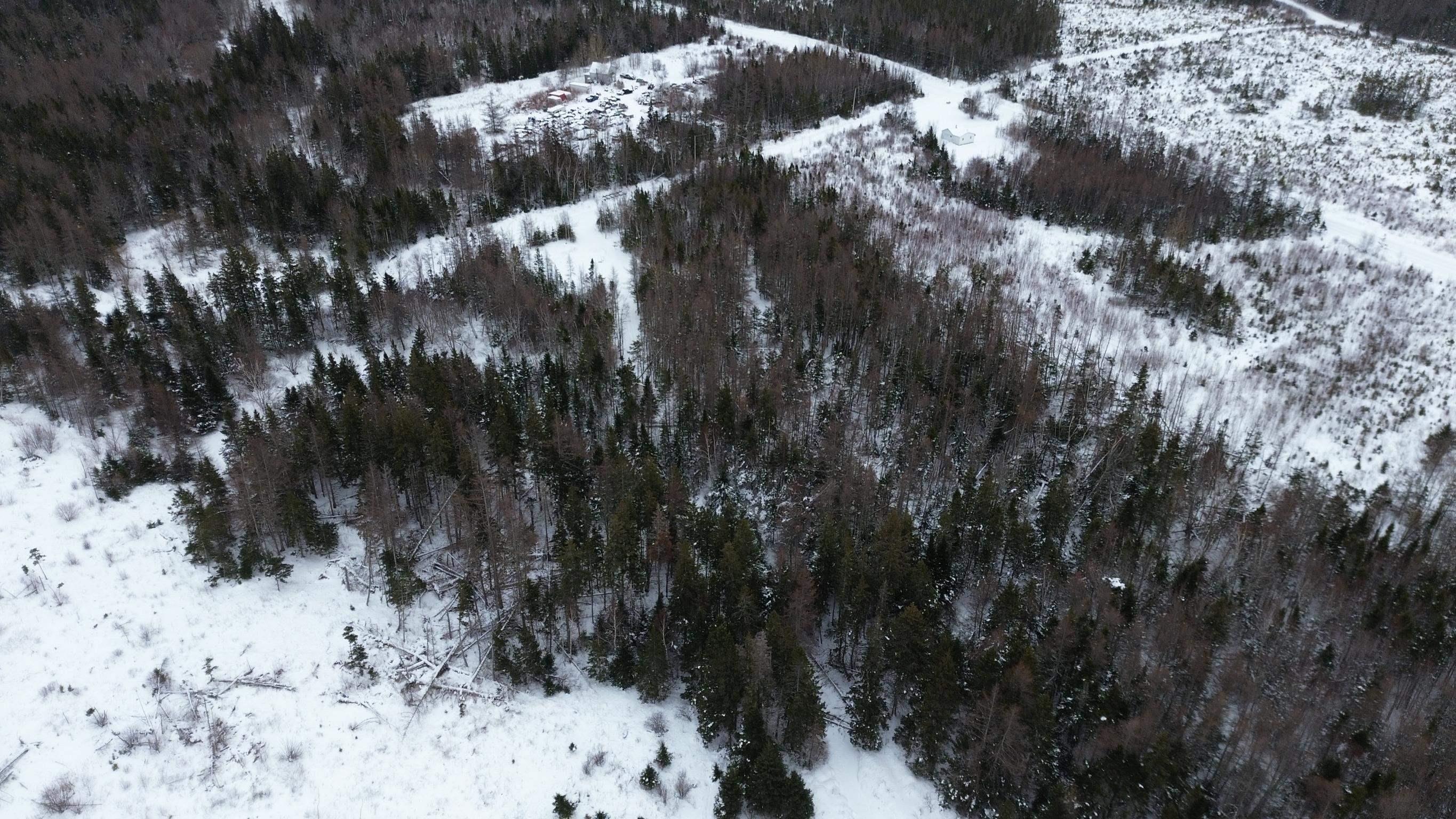 $25,000.00: John D MacDonald Road, Judique South