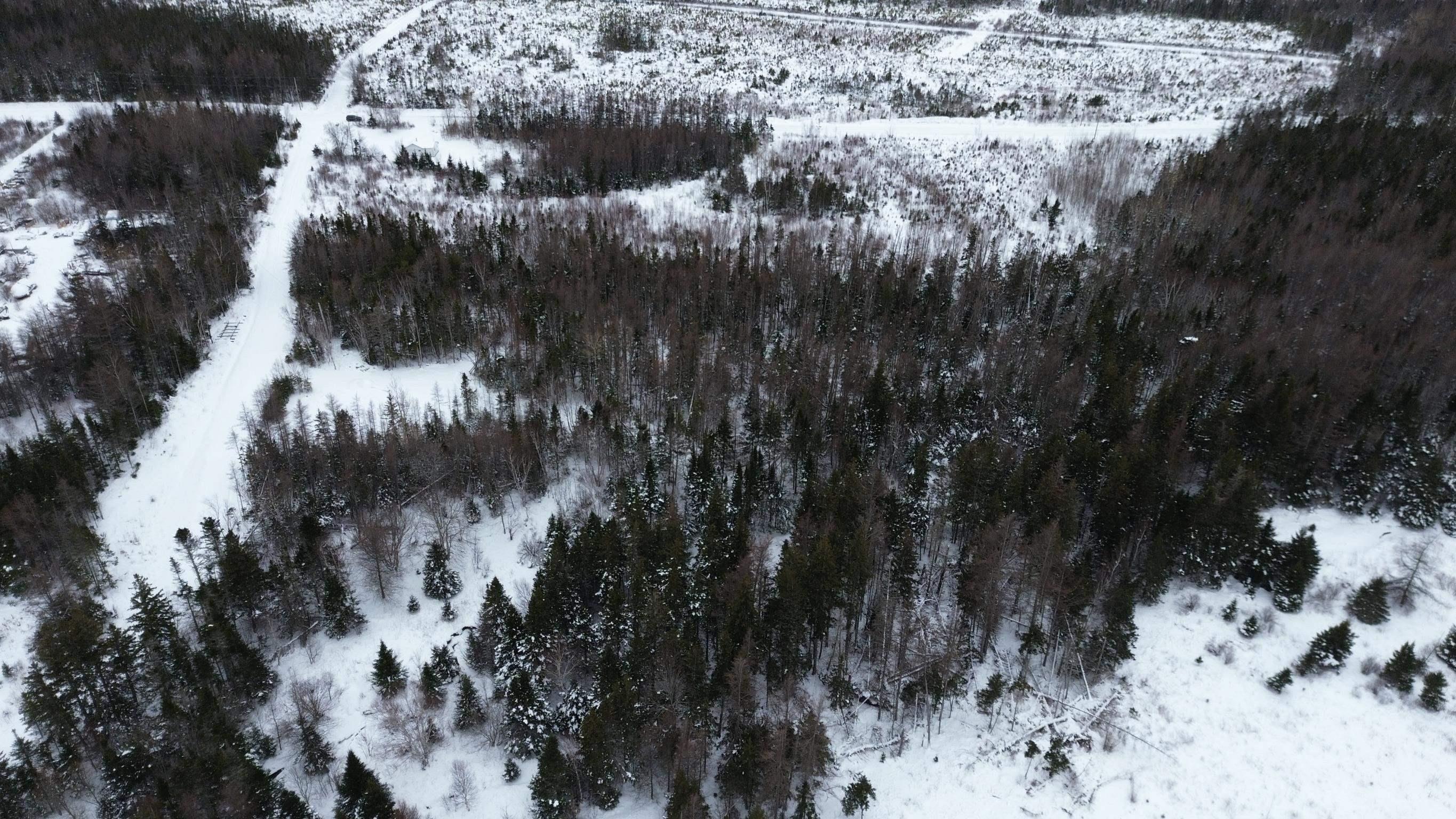 $25,000.00: John D MacDonald Road, Judique South