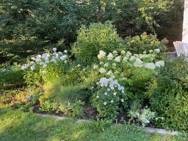 $289,000.00: 25 HIGHWAY 211, STILLWATR, N.S., Stillwater