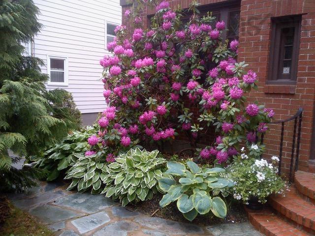 $2,225,000.00: 1950 Connaught Avenue, Halifax