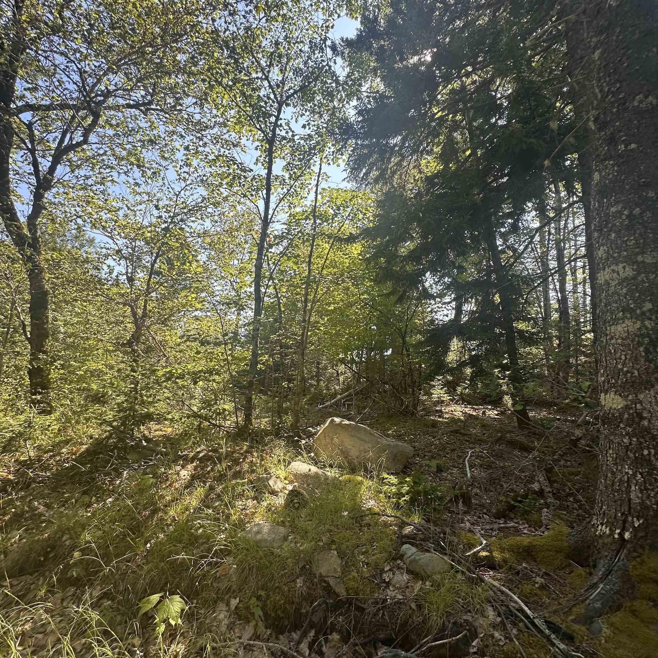 $49,000.00: (PID 70241864) Wellington Road, Buckfield