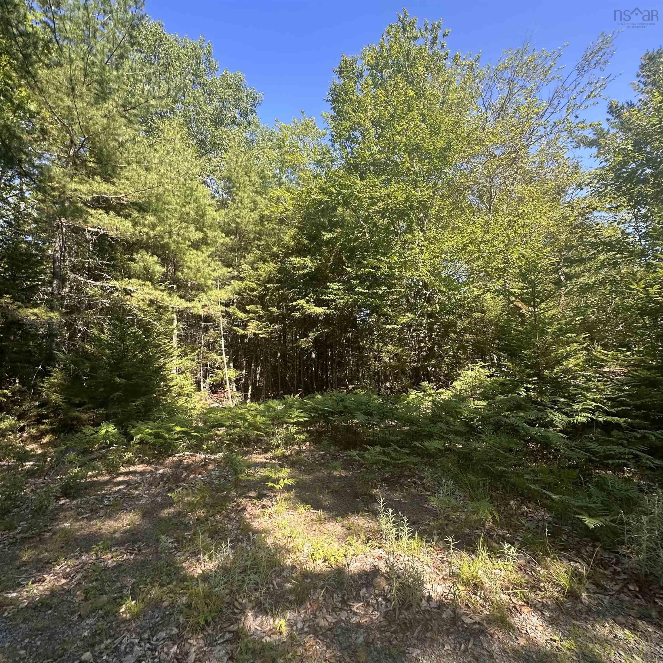 $49,000.00: (PID 70241864) Wellington Road, Buckfield