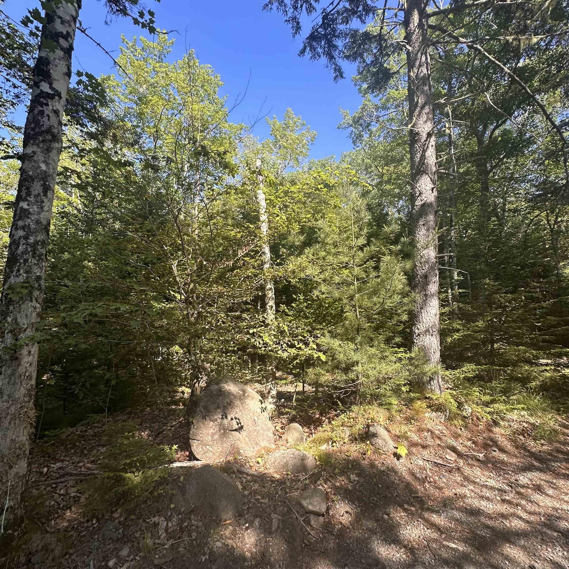 $49,000.00: (PID 70241864) Wellington Road, Buckfield