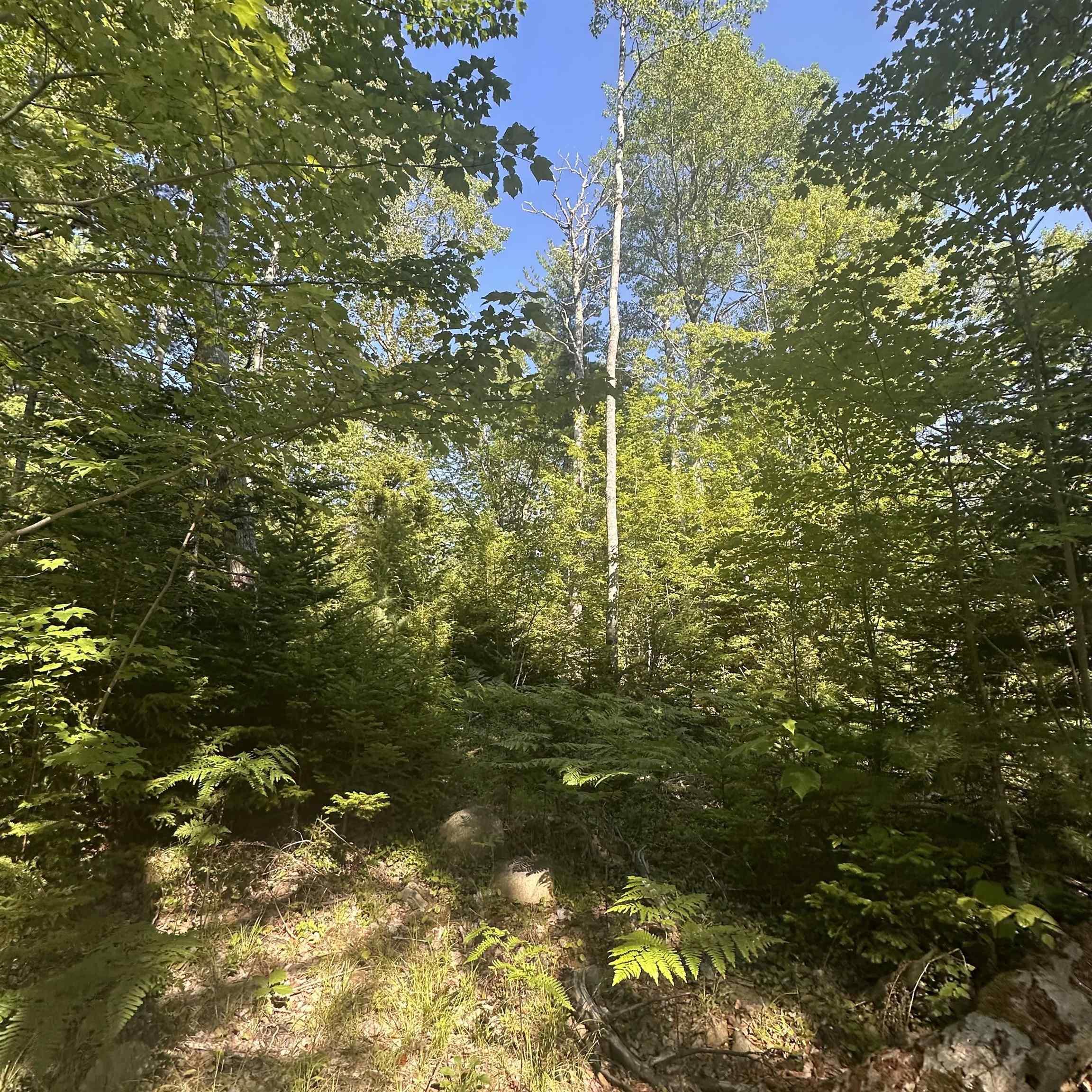 $49,000.00: (PID 70241864) Wellington Road, Buckfield