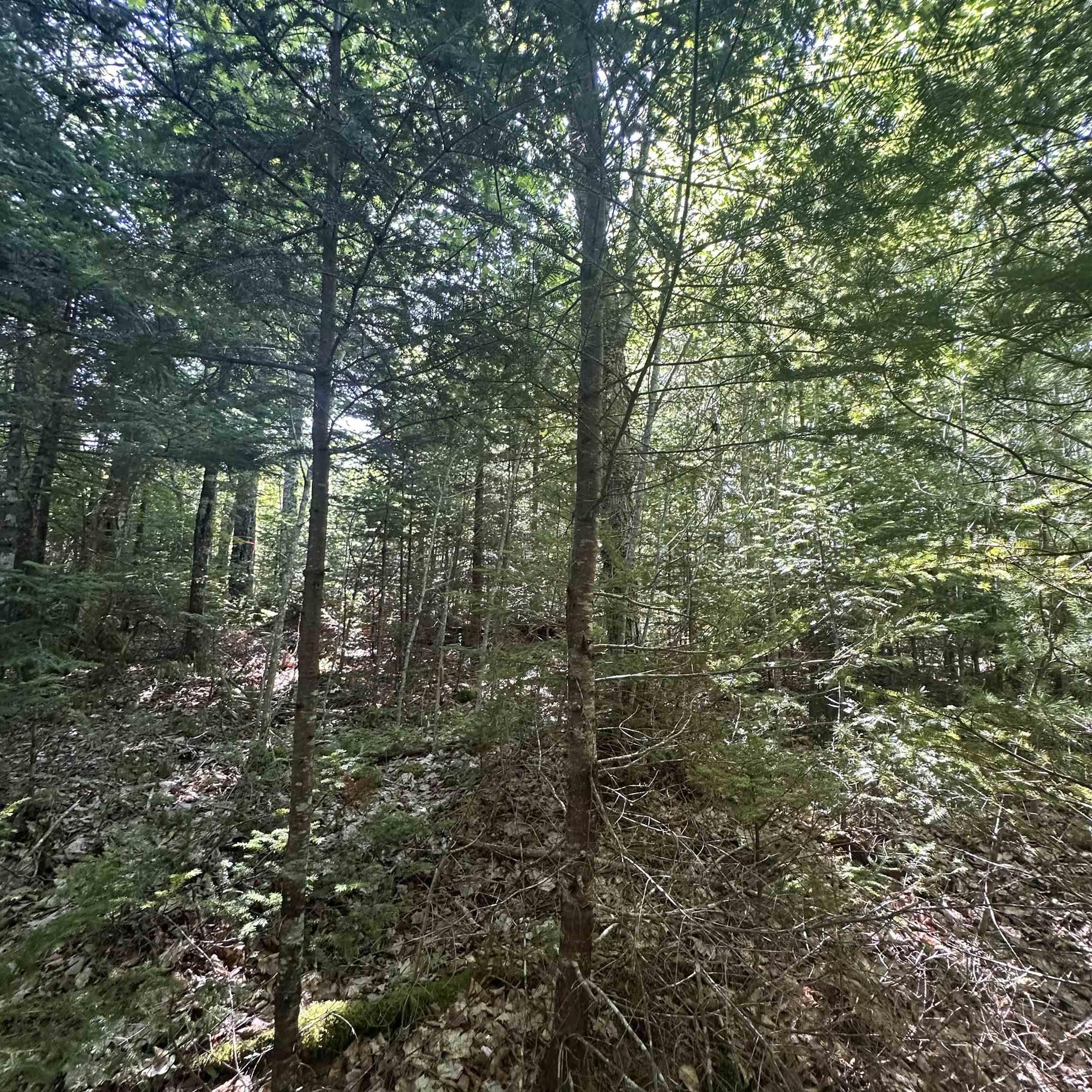 $49,000.00: (PID 70241864) Wellington Road, Buckfield