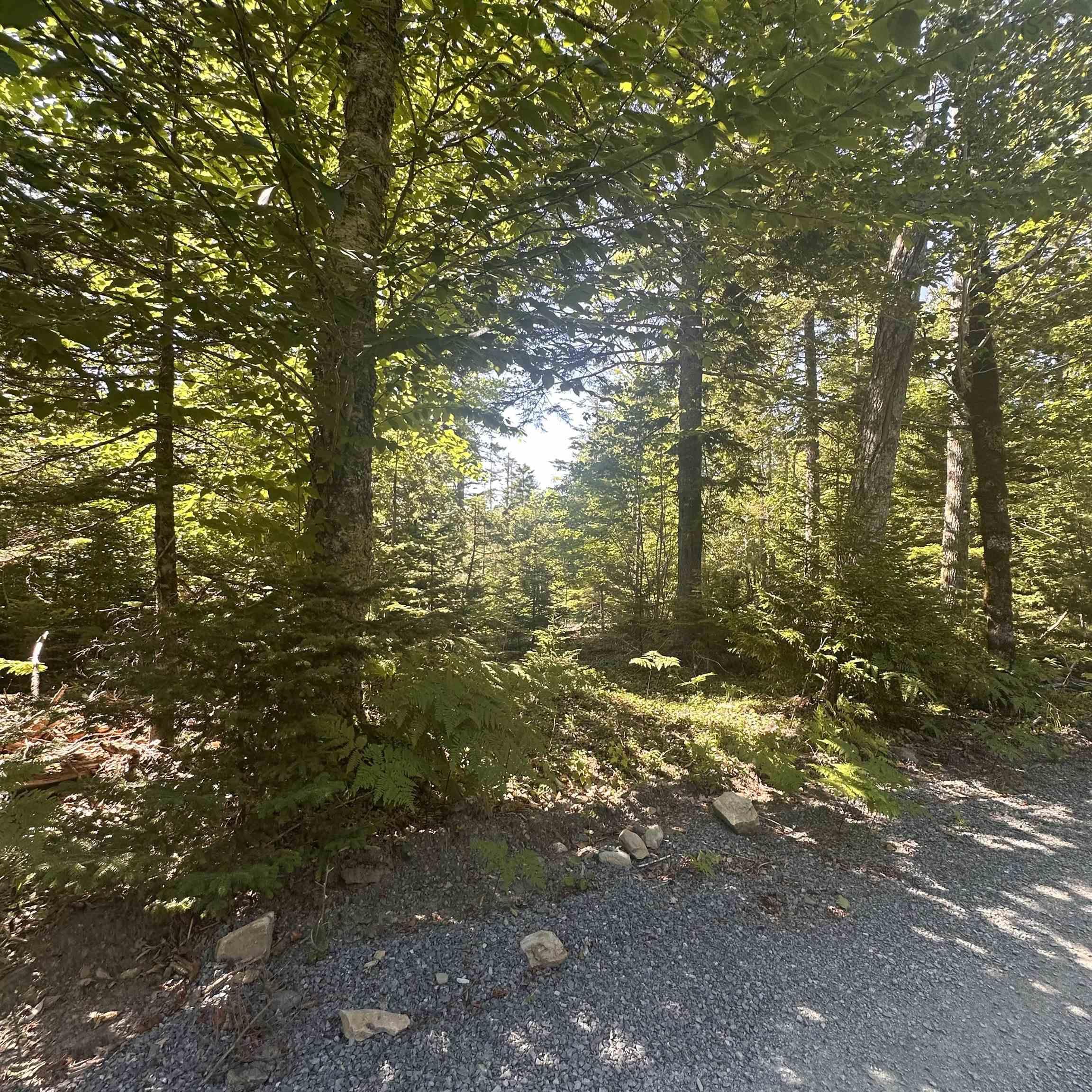 $49,000.00: (PID 70241864) Wellington Road, Buckfield