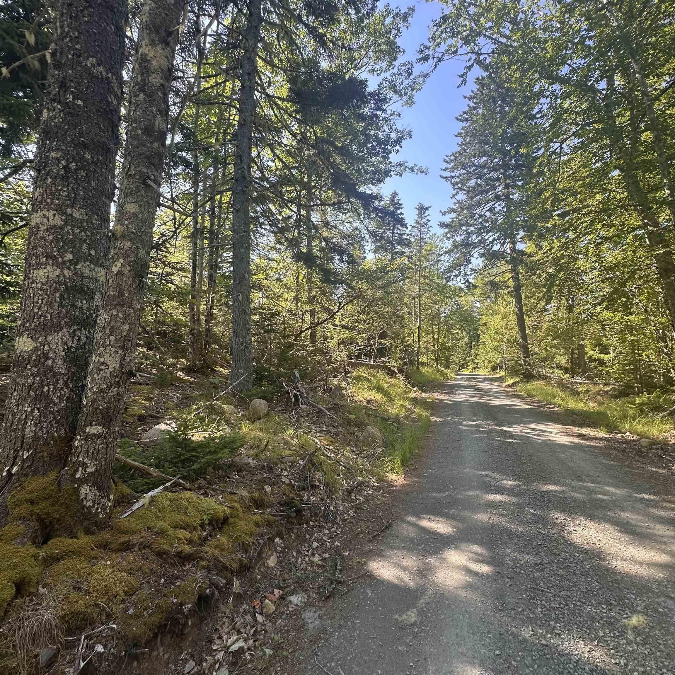 $49,000.00: (PID 70241864) Wellington Road, Buckfield