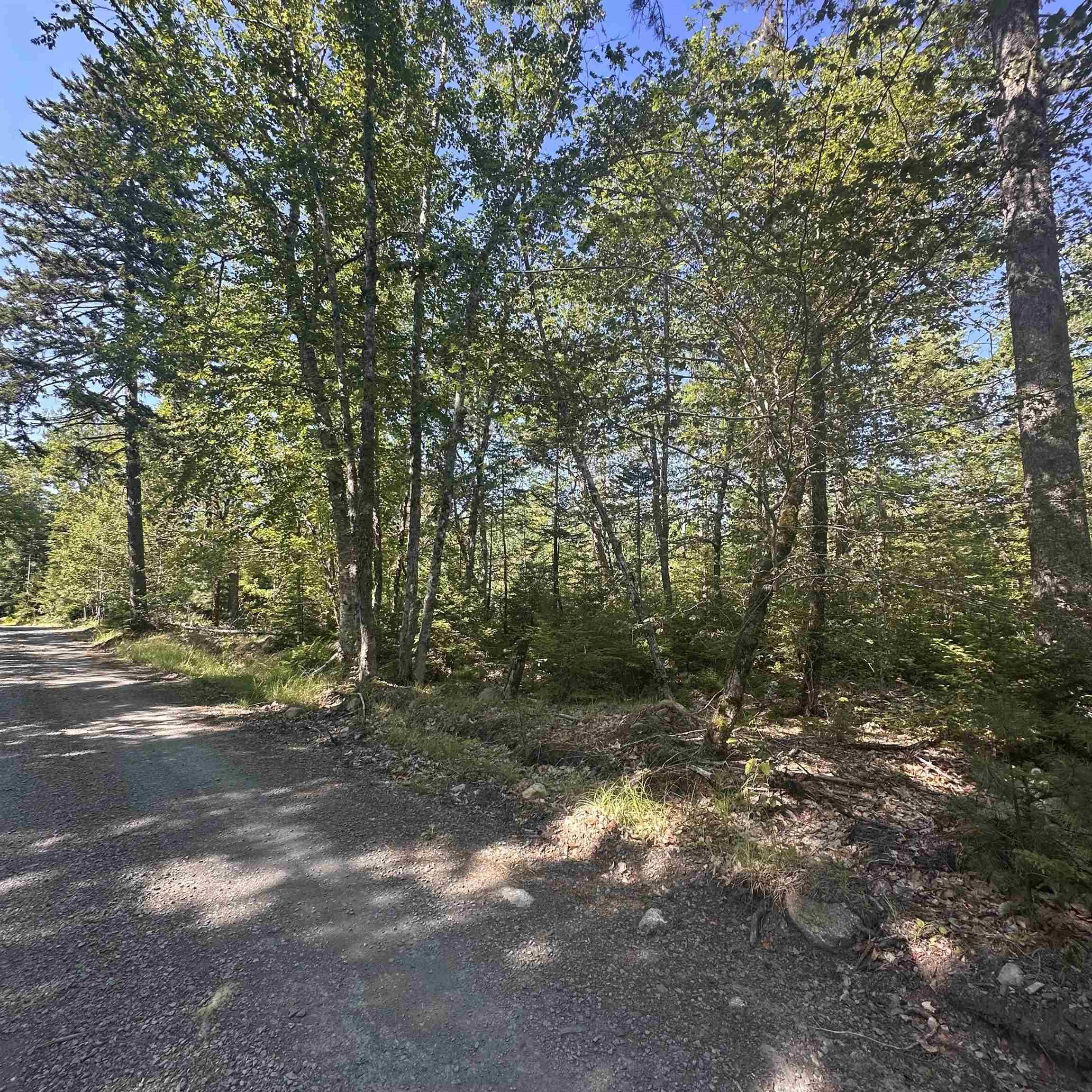 $49,000.00: (PID 70241864) Wellington Road, Buckfield