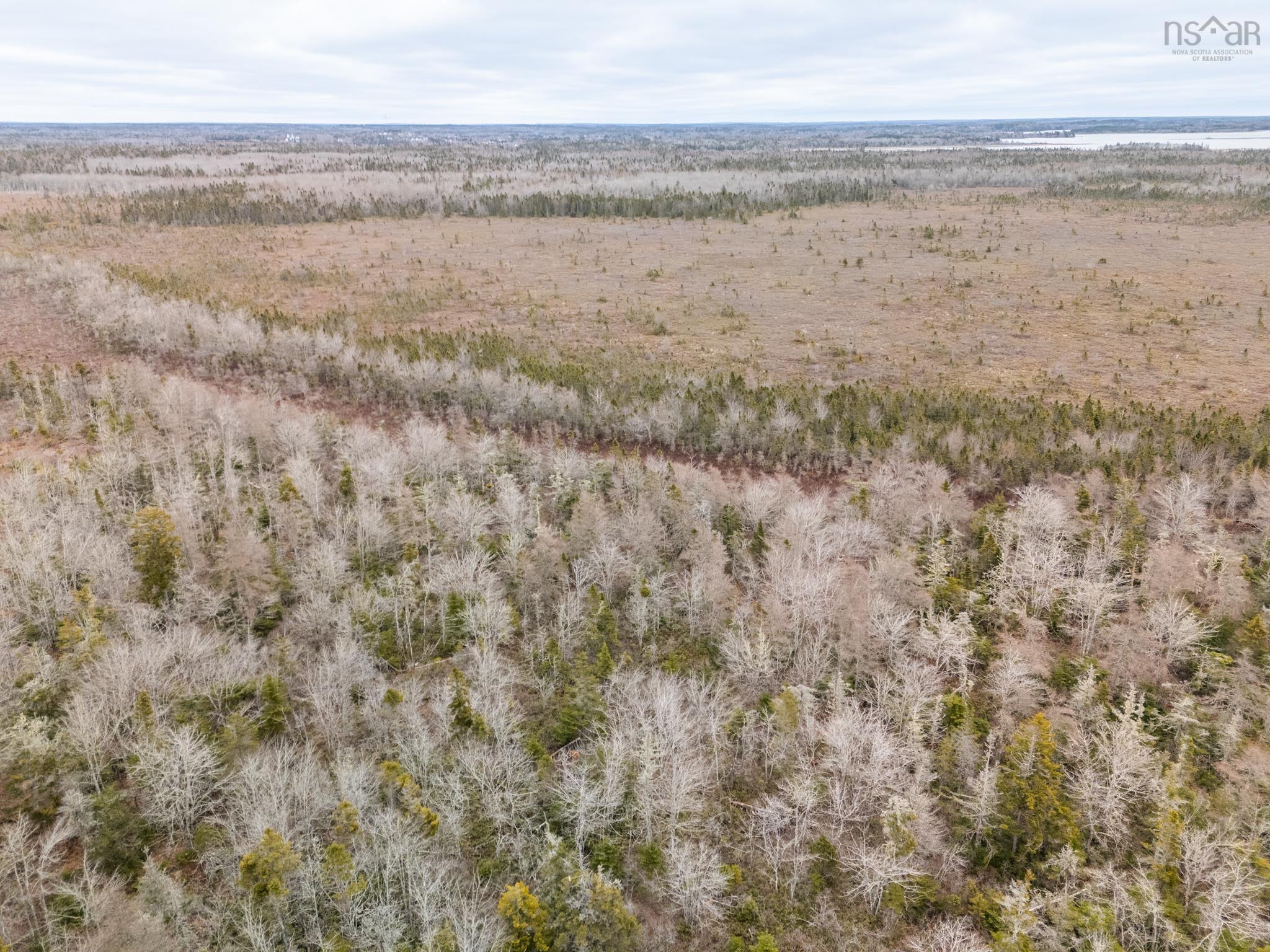 $36,900.00: Lot Gasson Road, Amiraults Hill