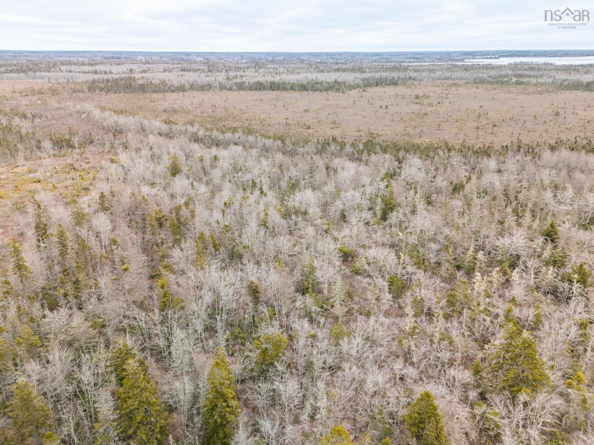 $36,900.00: Lot Gasson Road, Amiraults Hill