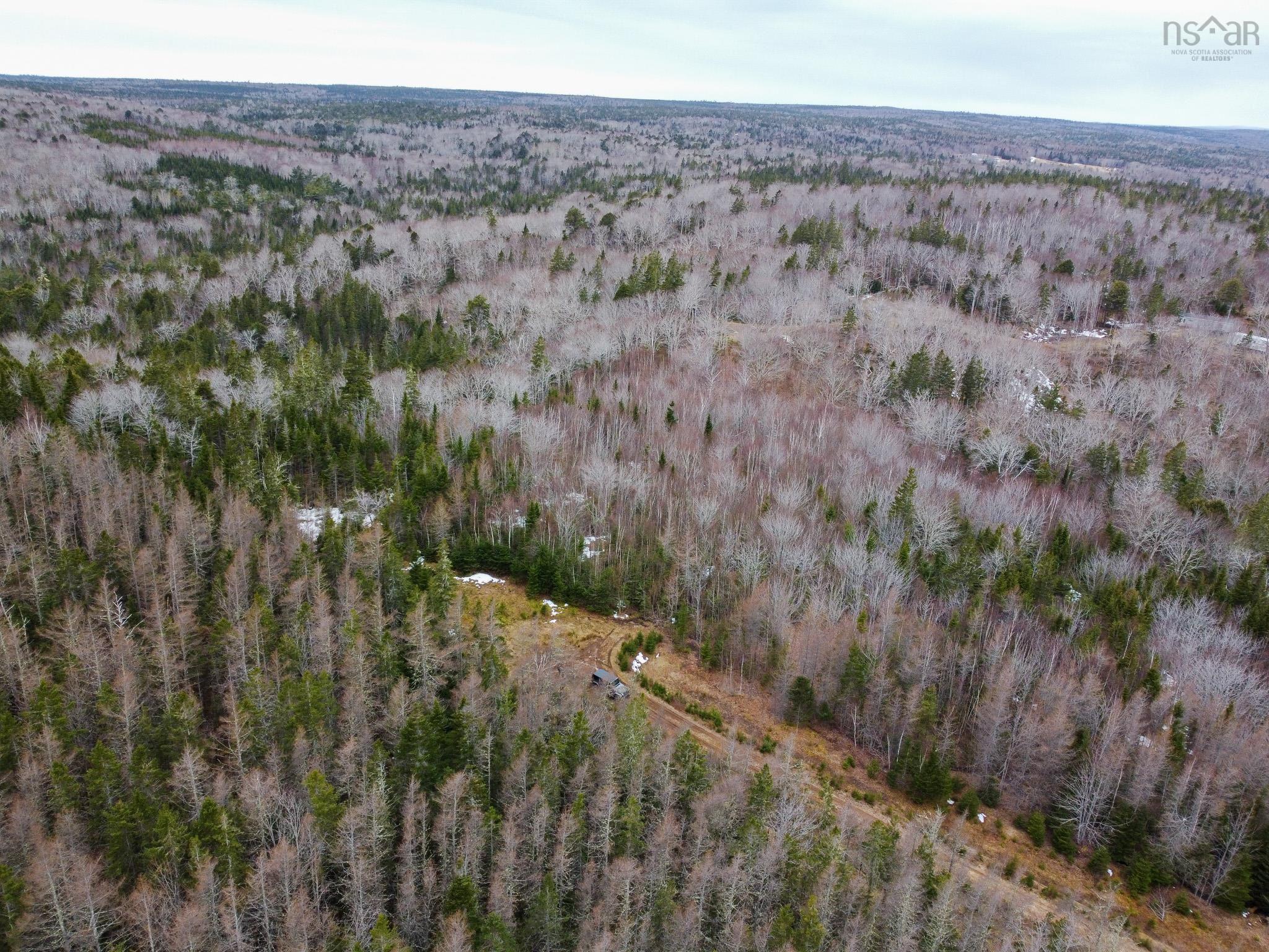 $49,000.00: West Bay Highway, Dundee