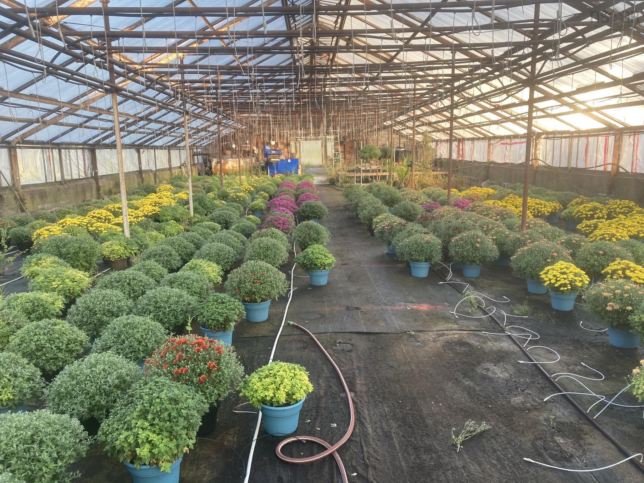 $650,000.00: 429 Seaview Drive, Upper North Sydney