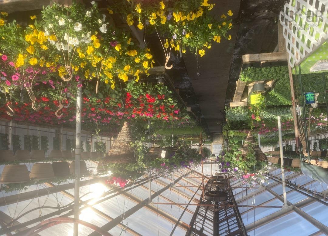 $650,000.00: 429 Seaview Drive, Upper North Sydney