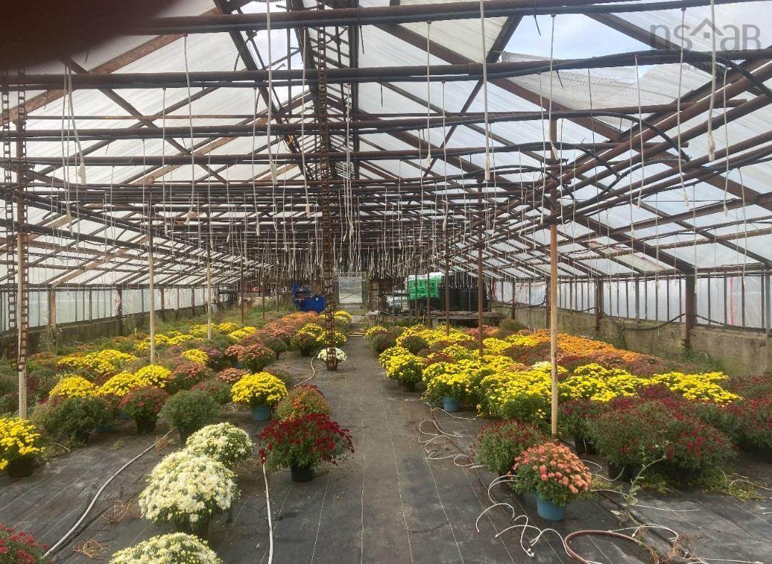 $650,000.00: 429 Seaview Drive, Upper North Sydney