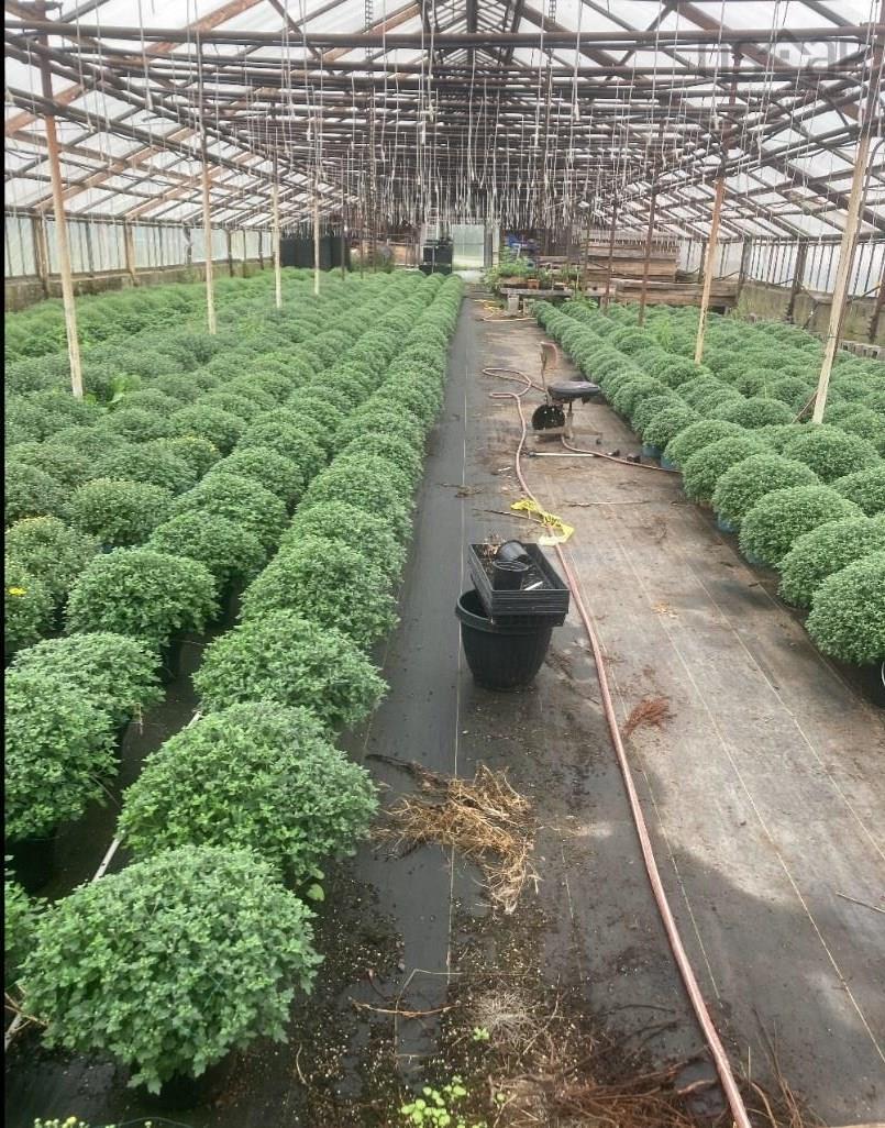 $650,000.00: 429 Seaview Drive, Upper North Sydney