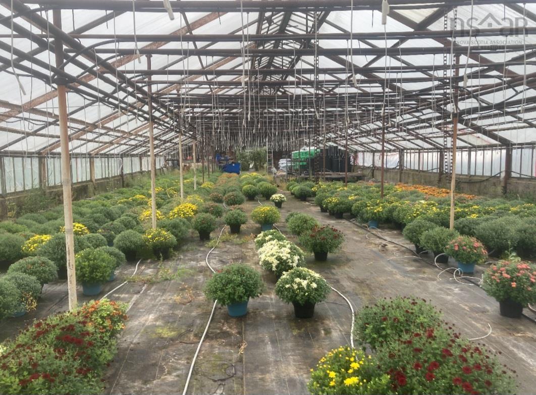 $650,000.00: 429 Seaview Drive, Upper North Sydney