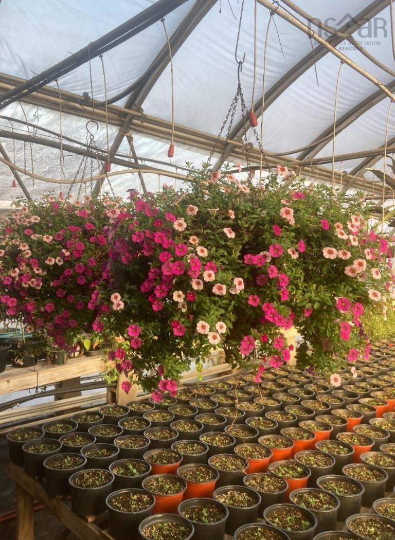 $650,000.00: 429 Seaview Drive, Upper North Sydney