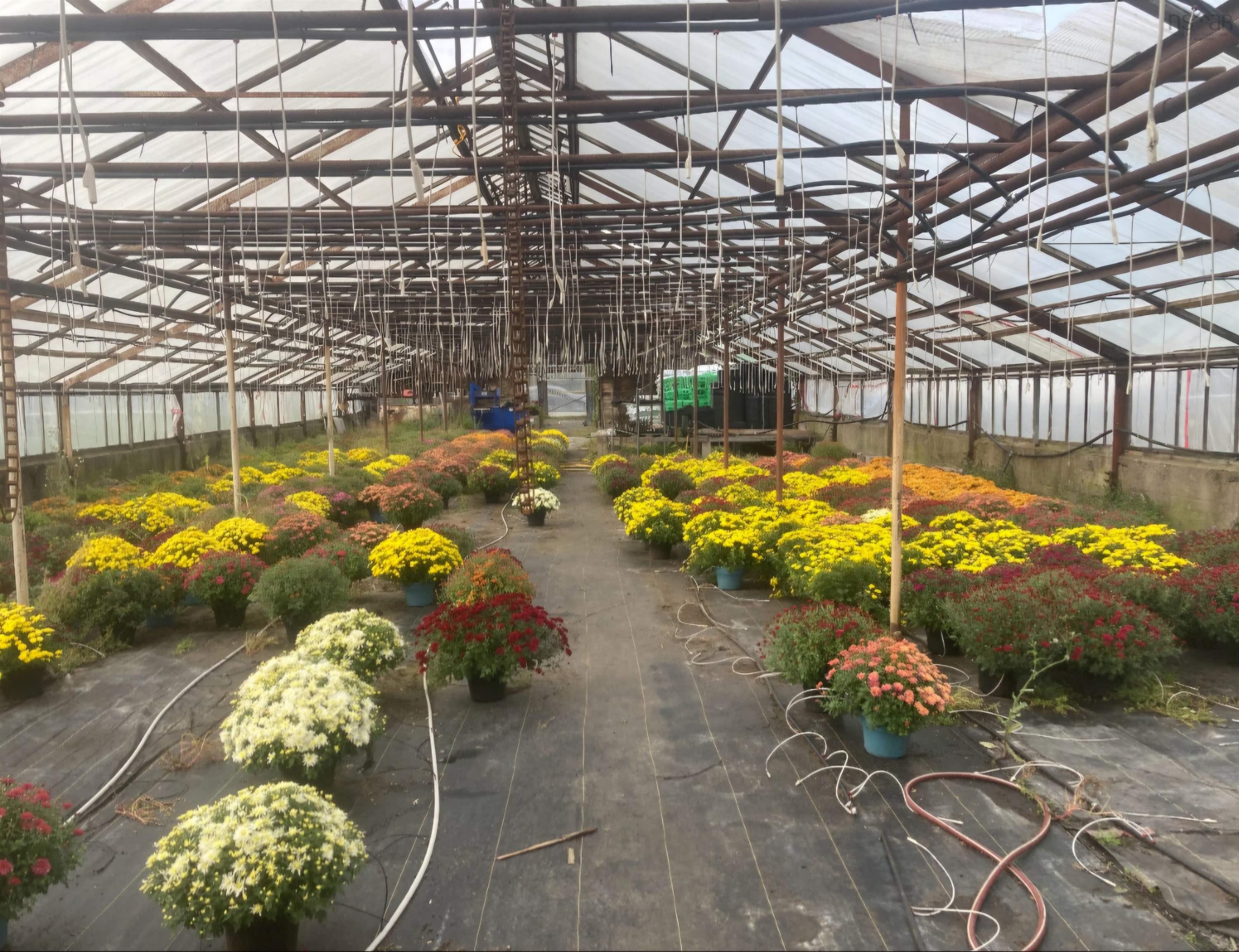 $650,000.00: 429 Seaview Drive, Upper North Sydney