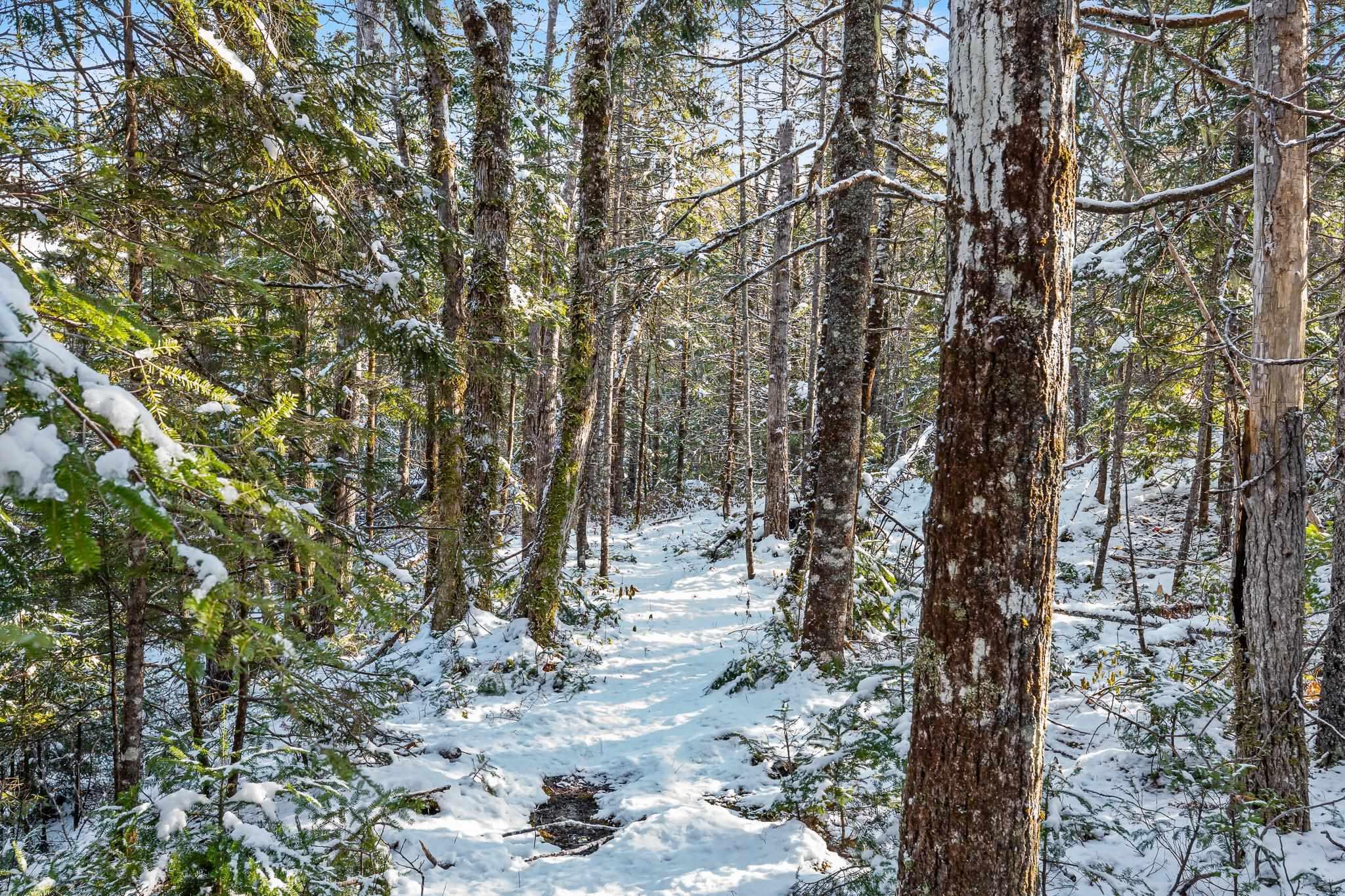 $199,000.00: Lot 7 Stamping Mill Lane, Beech Hill